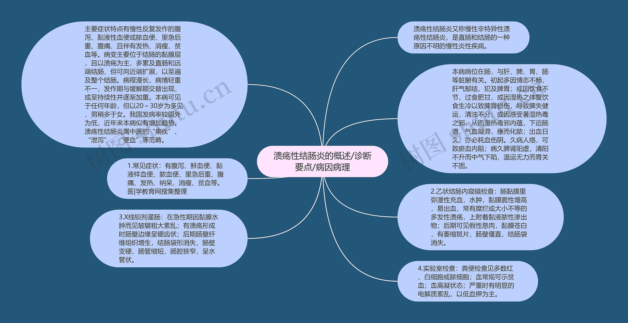 溃疡性结肠炎的概述/诊断要点/病因病理思维导图