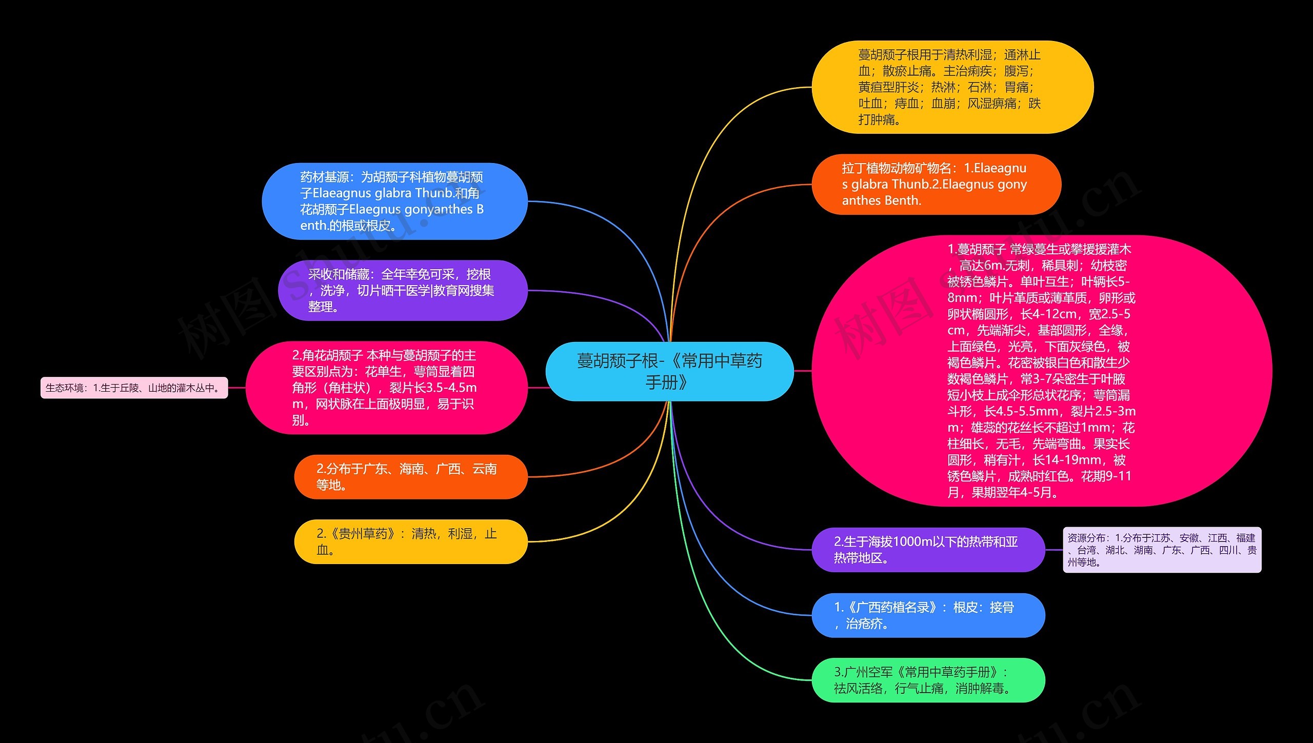 蔓胡颓子根-《常用中草药手册》思维导图