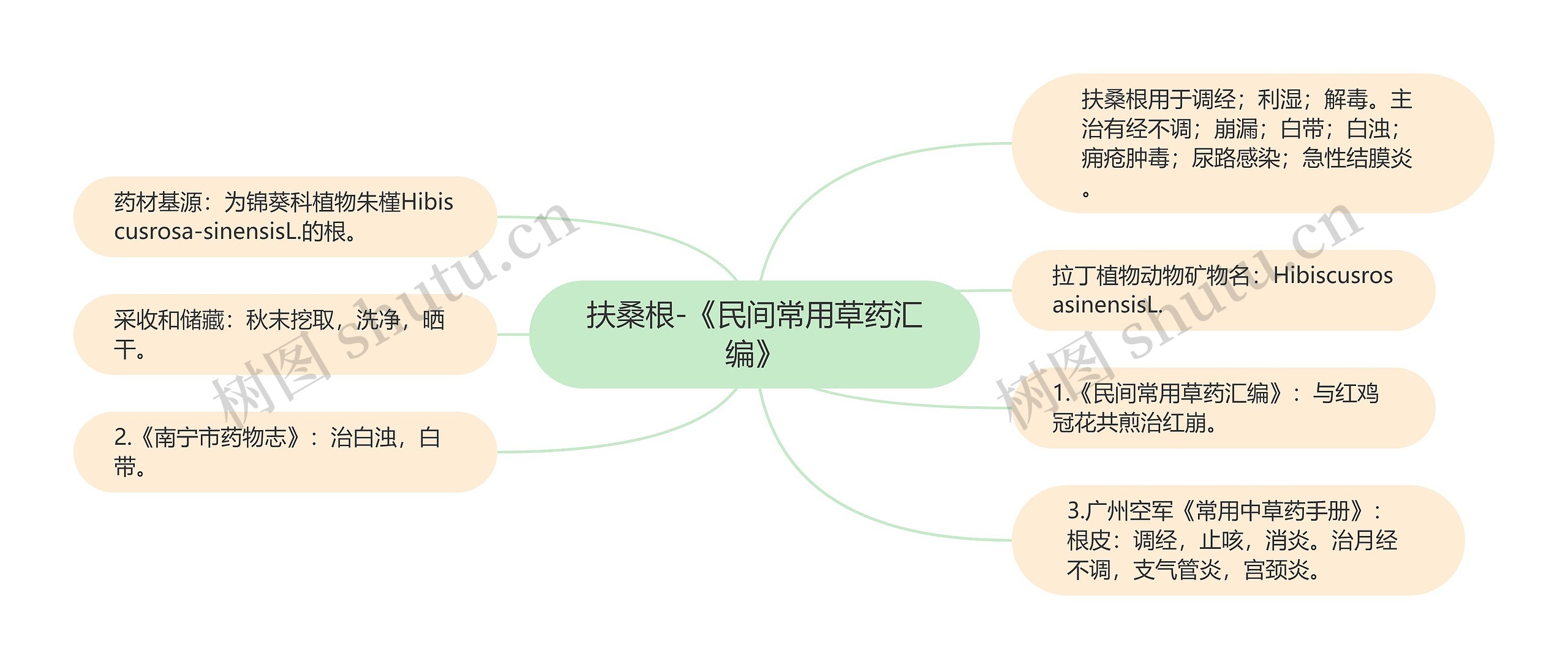 扶桑根-《民间常用草药汇编》思维导图