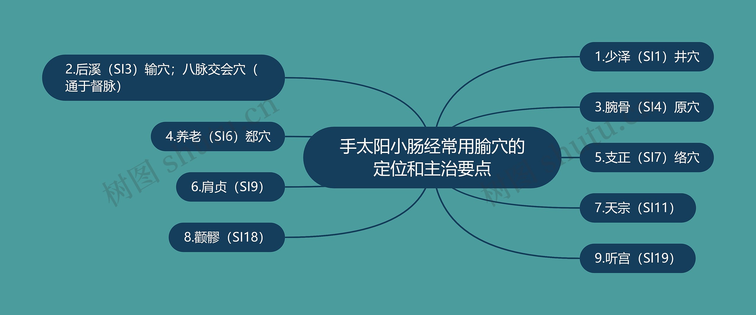 手太阳小肠经常用腧穴的定位和主治要点