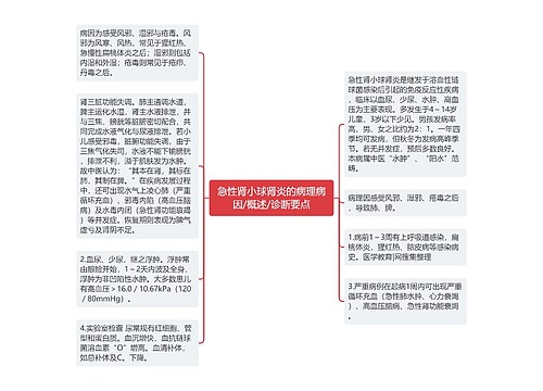 急性肾小球肾炎的病理病因/概述/诊断要点
