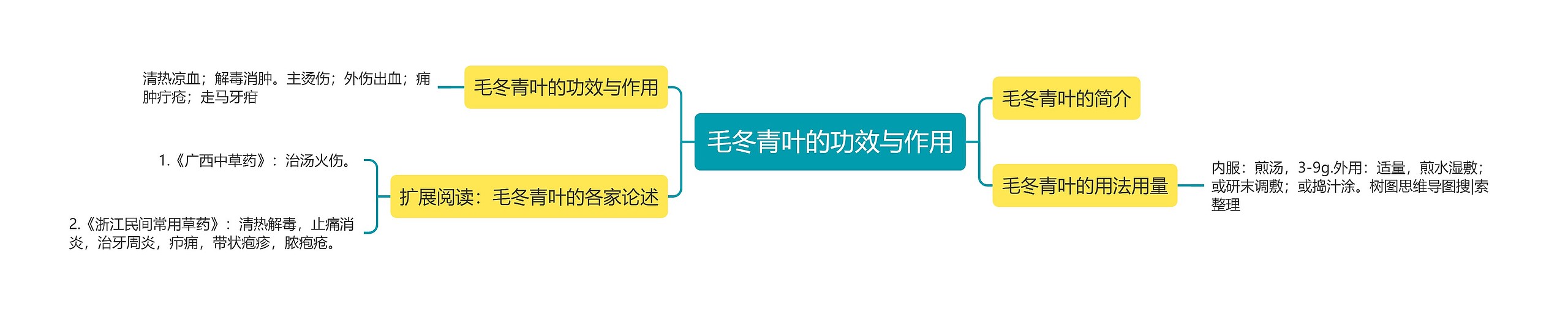 毛冬青叶的功效与作用 毛冬青叶的功效与作用