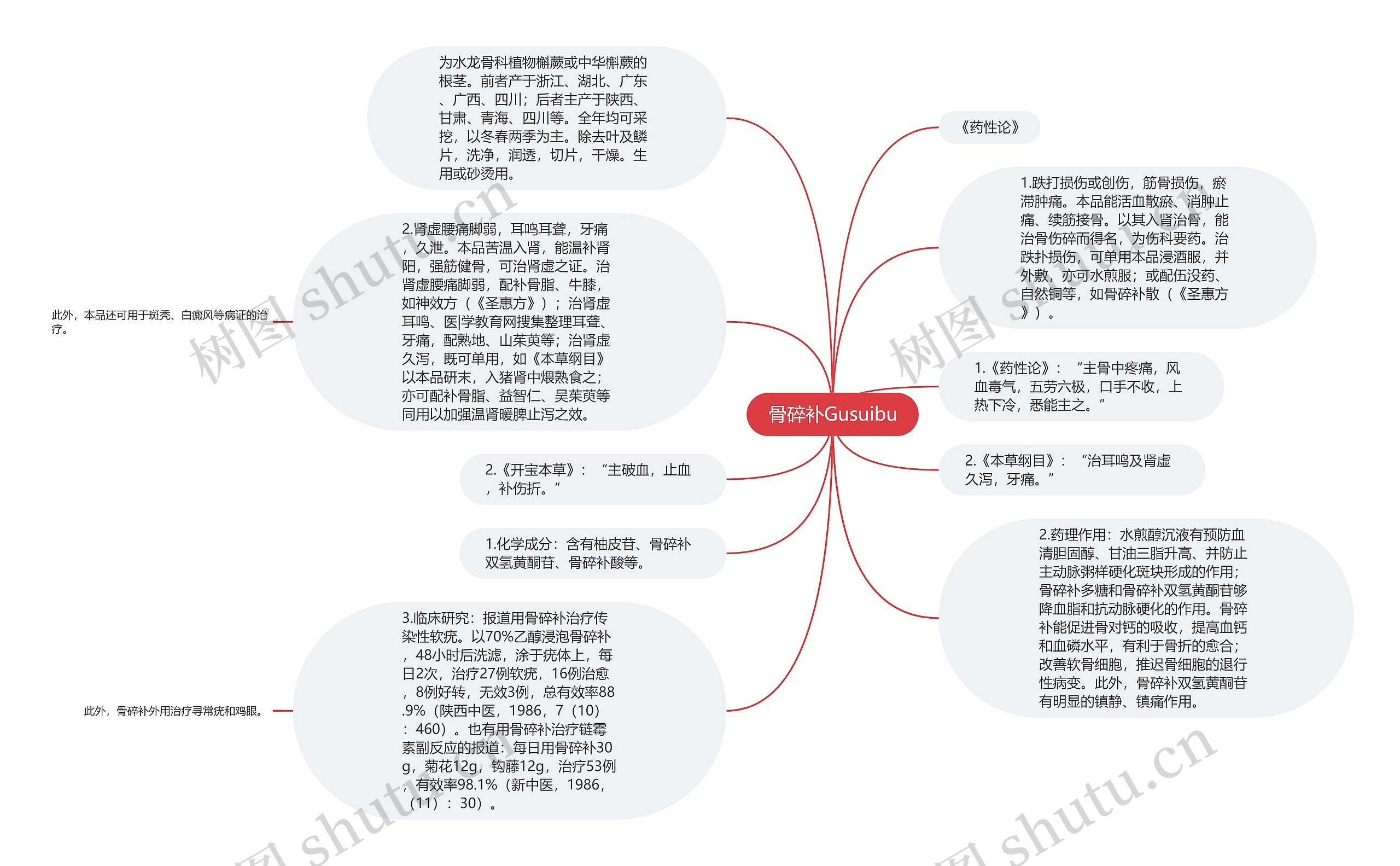 骨碎补Gusuibu思维导图