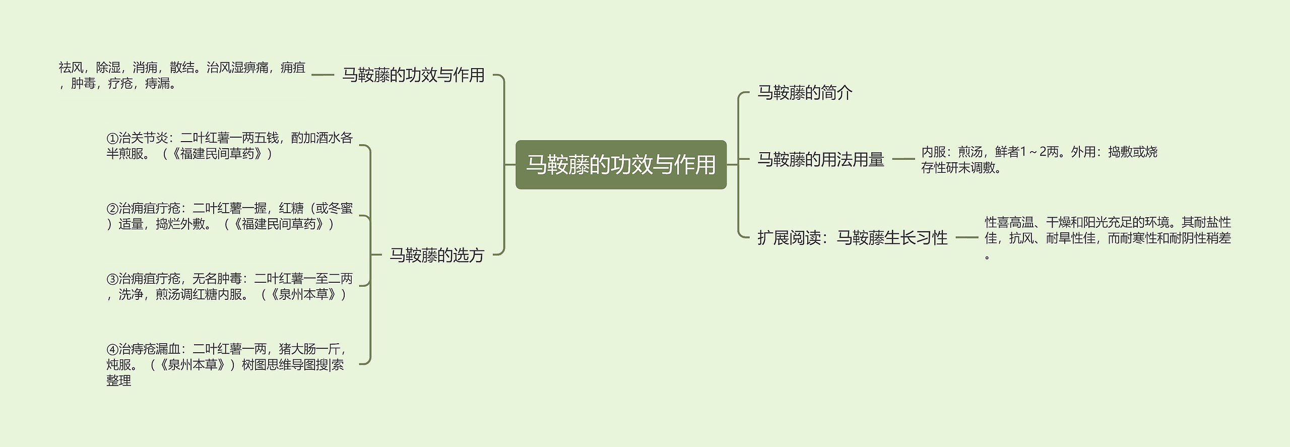 马鞍藤的功效与作用思维导图