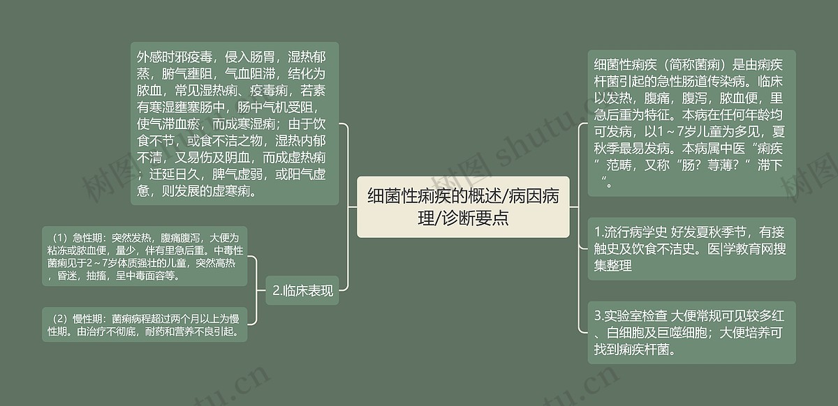 细菌性痢疾的概述/病因病理/诊断要点思维导图_编号p6951640-TreeMind树图