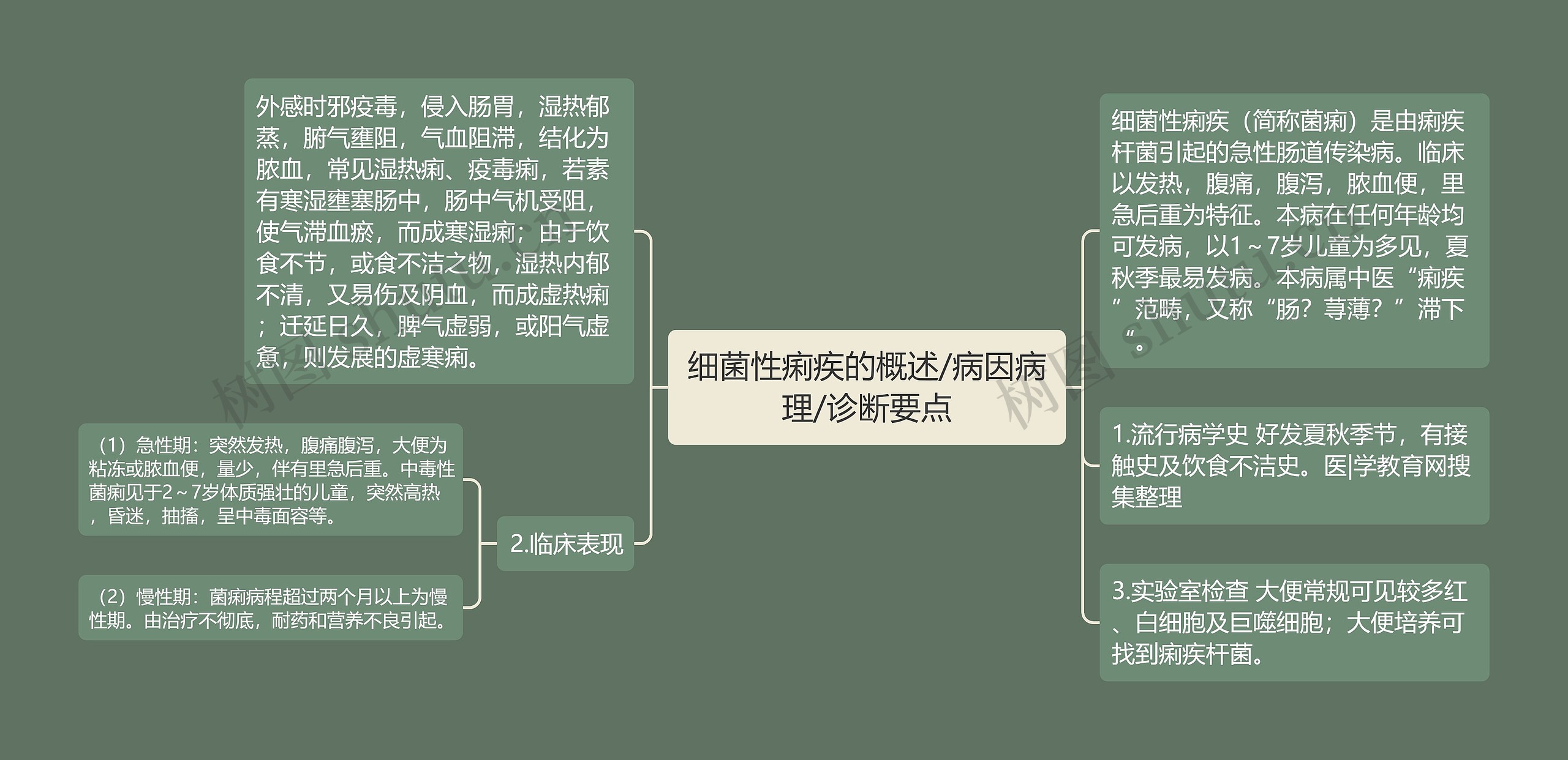 细菌性痢疾的概述/病因病理/诊断要点思维导图