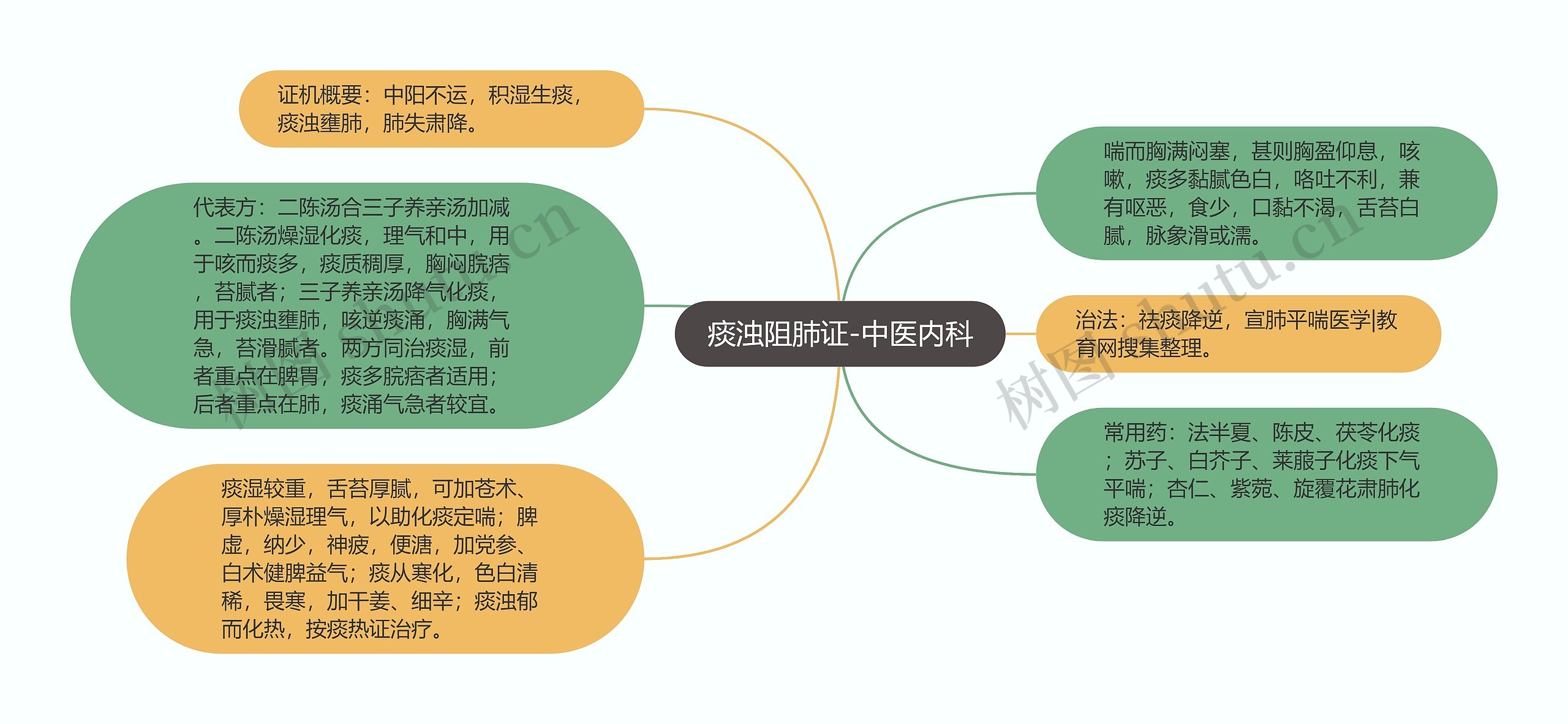 痰浊阻肺证-中医内科思维导图