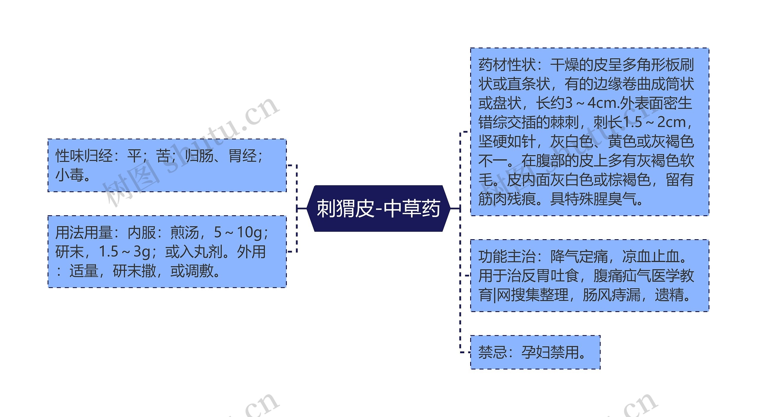 刺猬皮-中草药思维导图