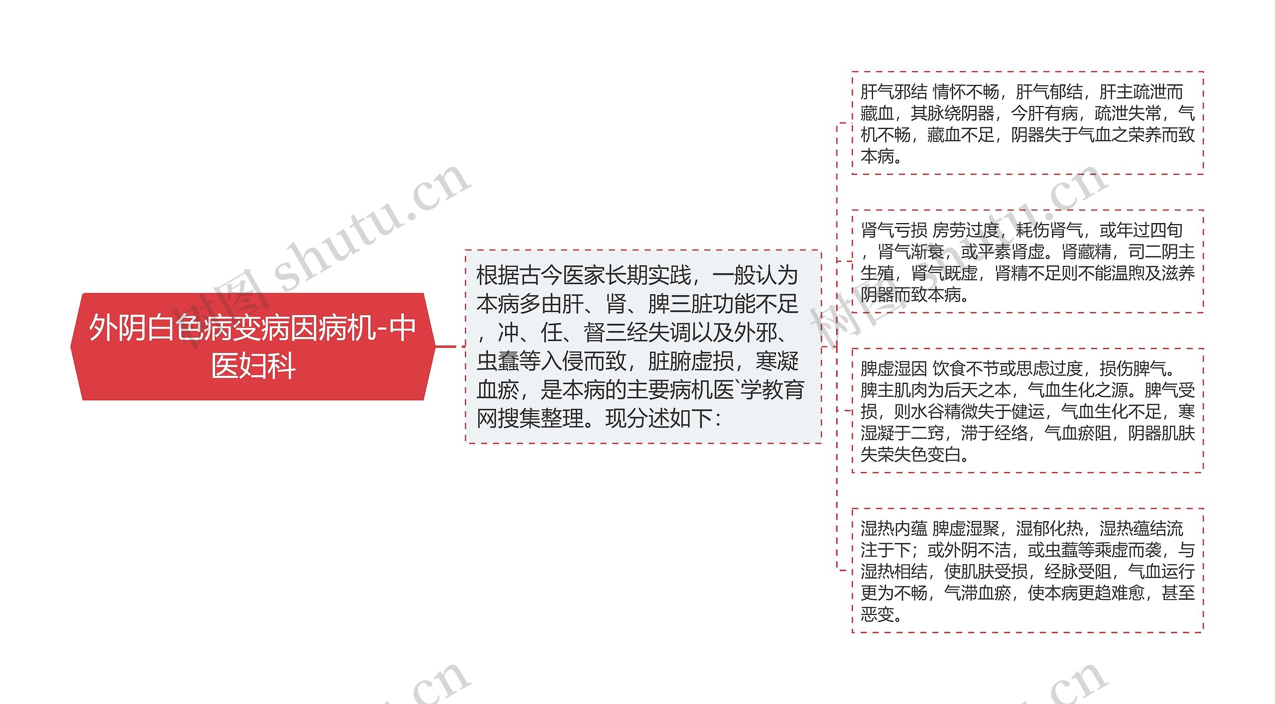 外阴白色病变病因病机-中医妇科思维导图