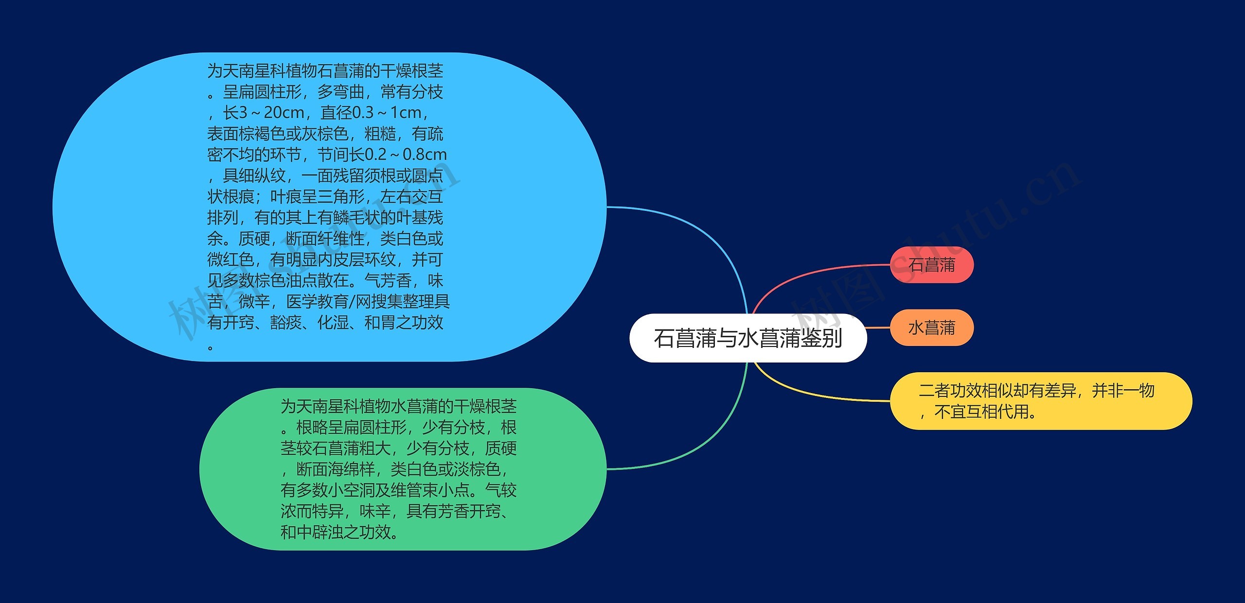 石菖蒲与水菖蒲鉴别思维导图