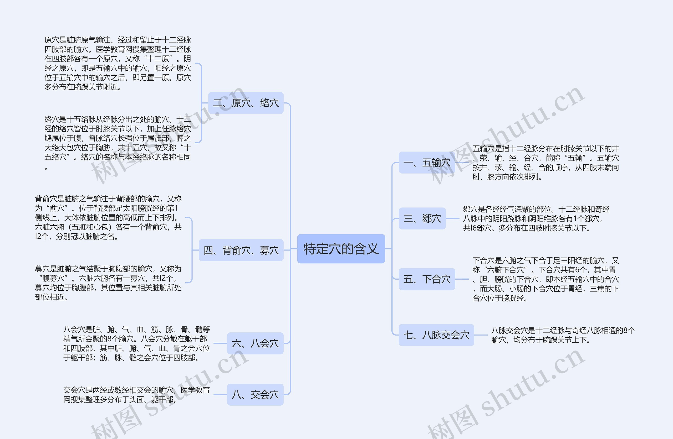 特定穴的含义