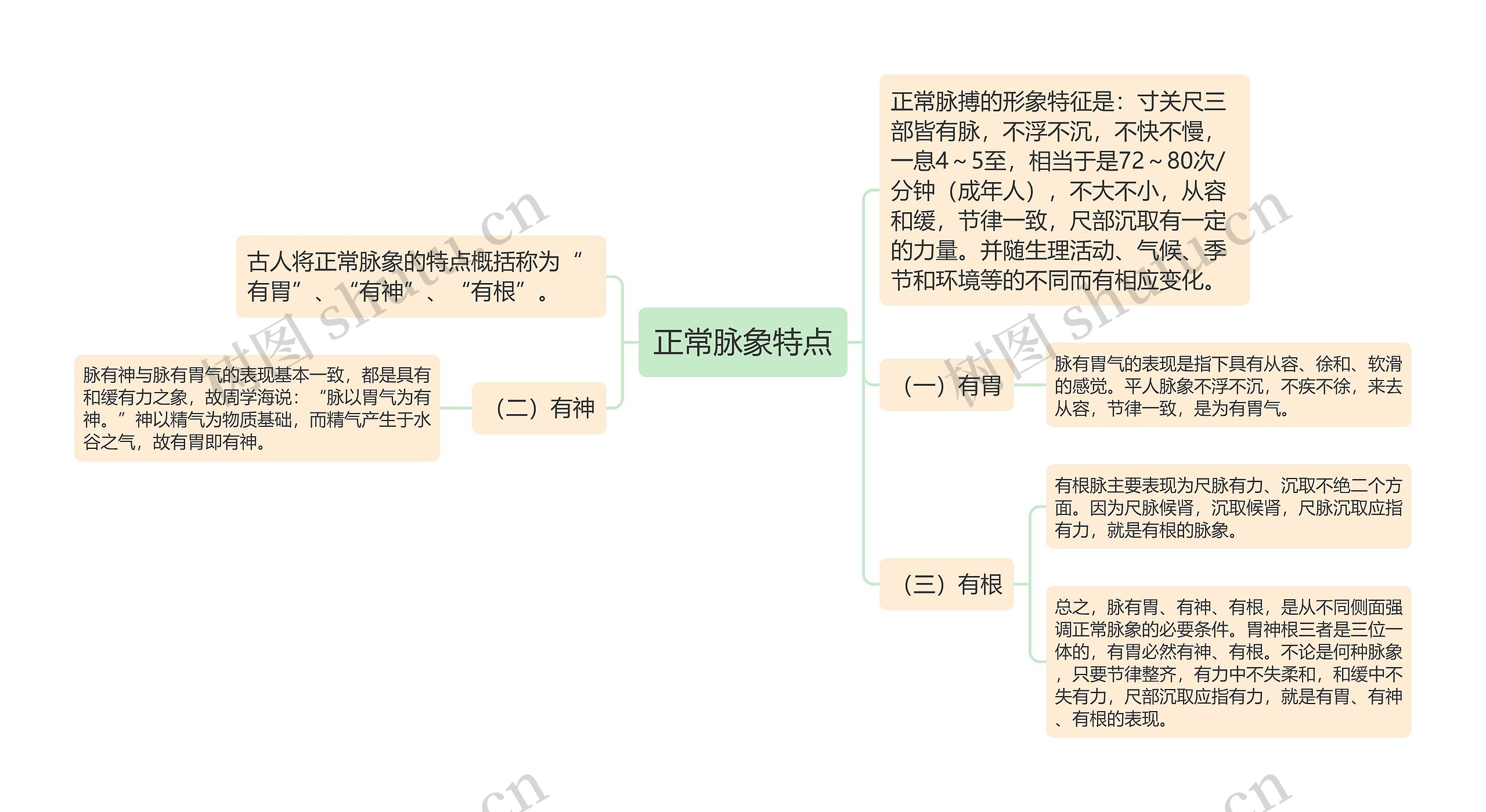 正常脉象特点思维导图