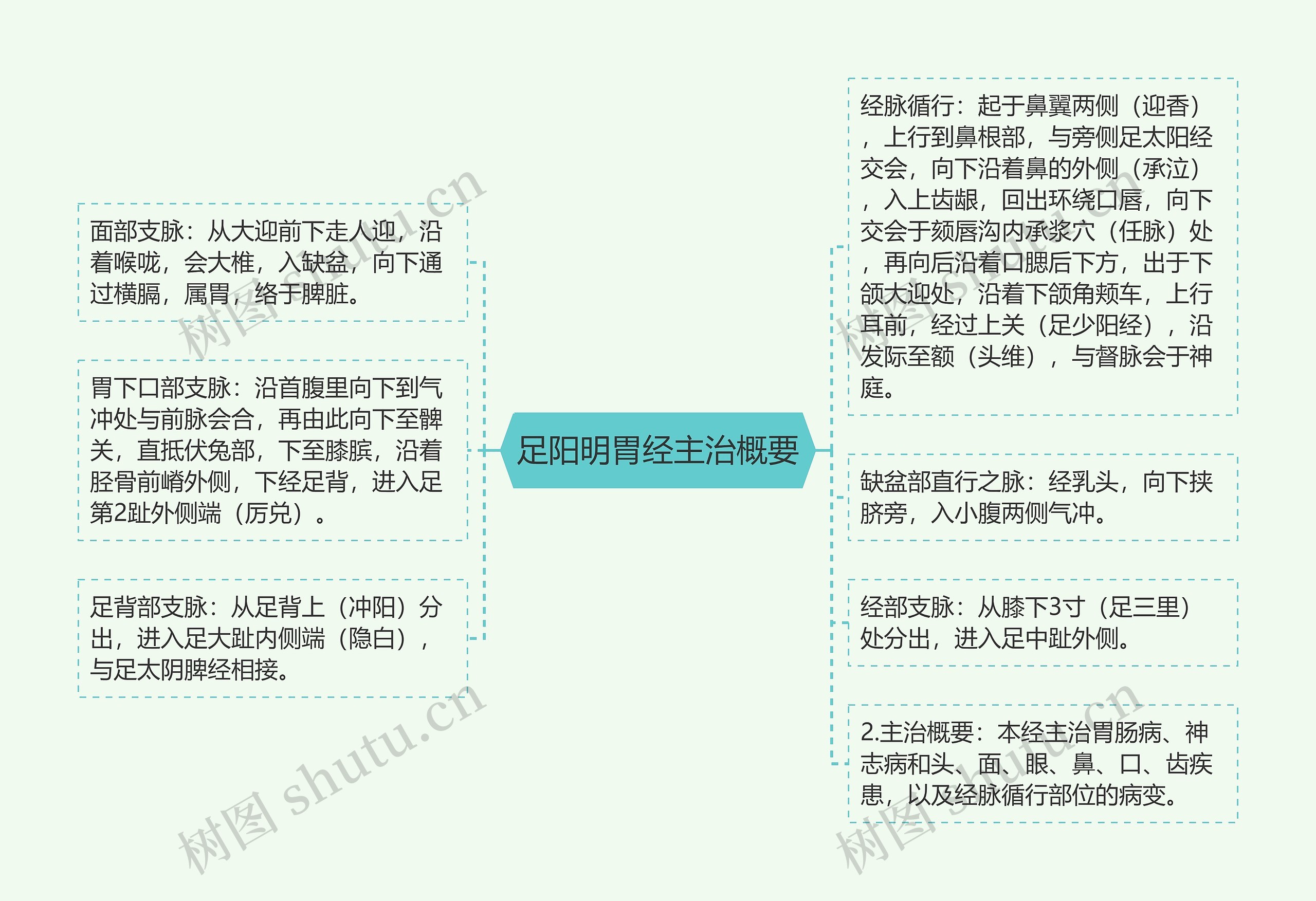 足阳明胃经主治概要思维导图