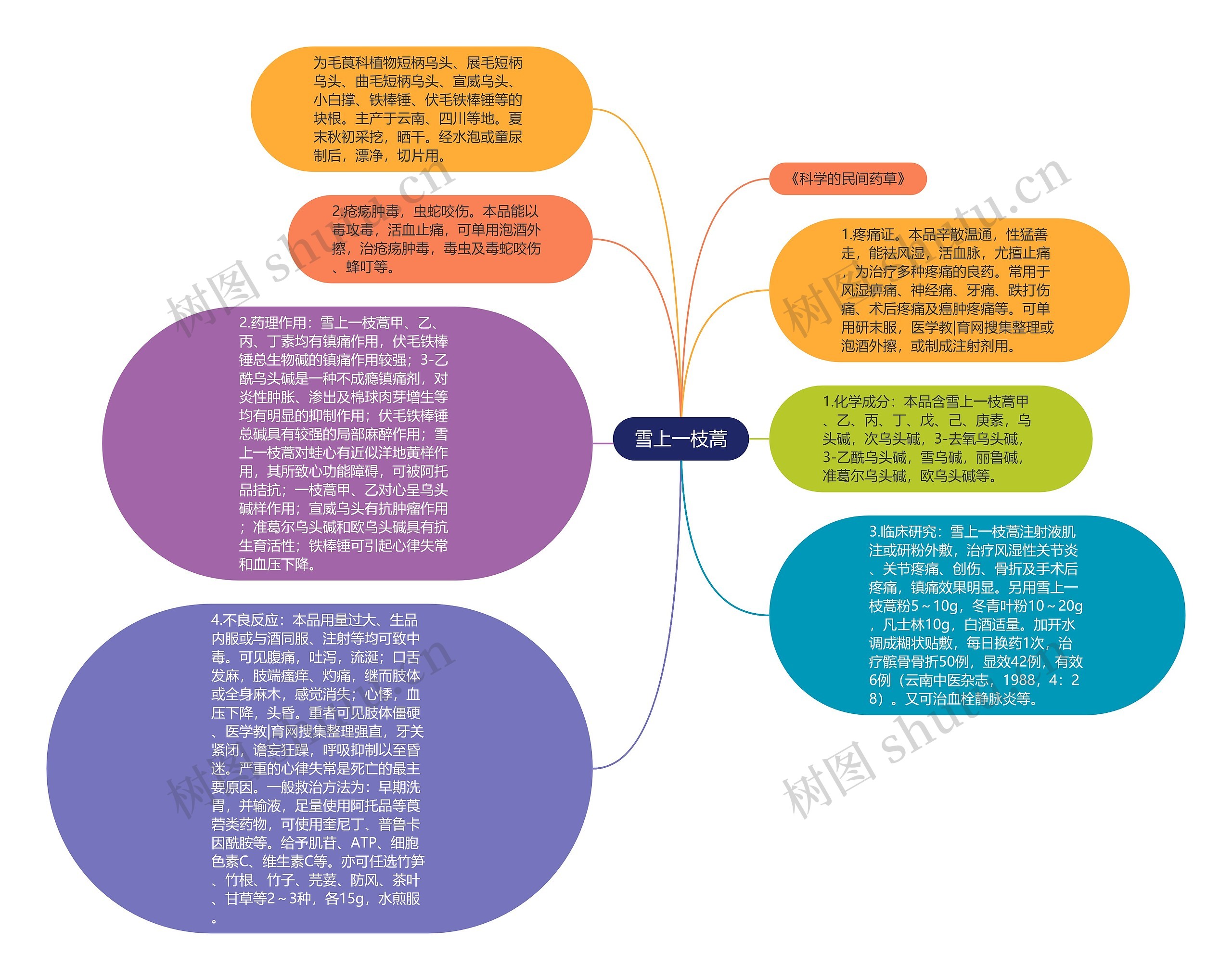 雪上一枝蒿思维导图