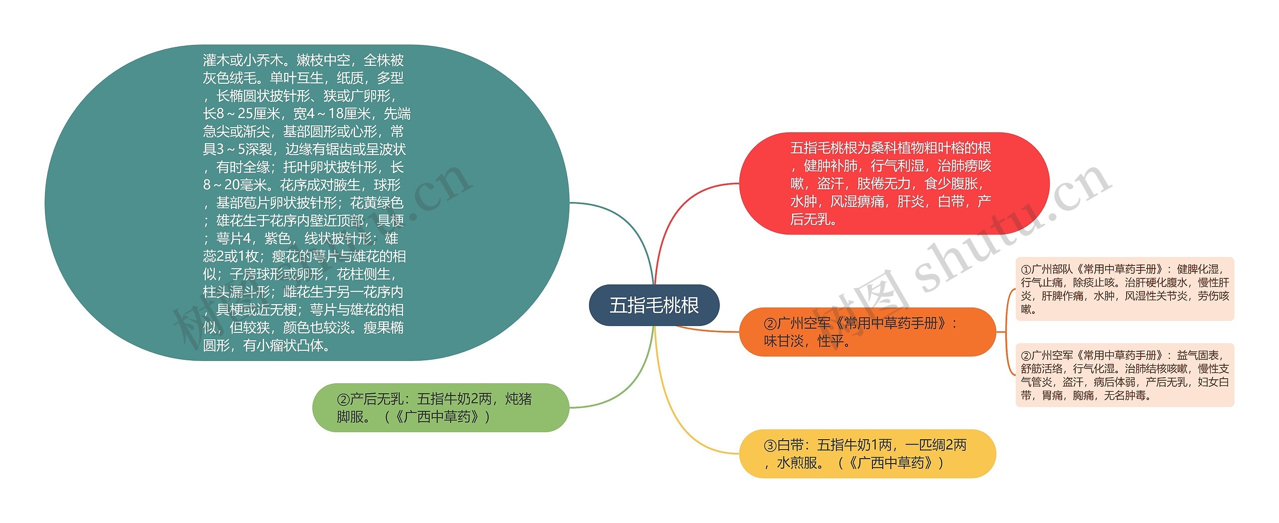 五指毛桃根