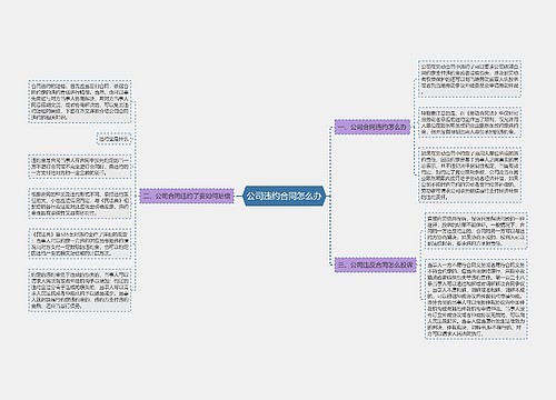 公司违约合同怎么办