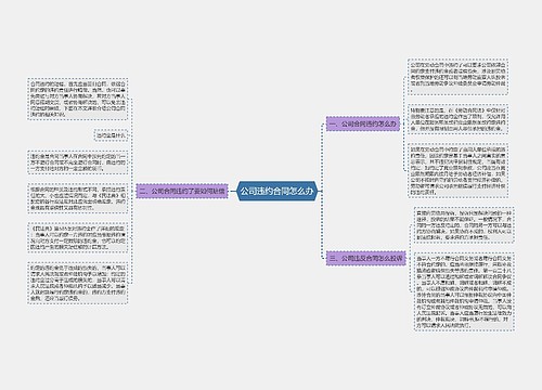 公司违约合同怎么办