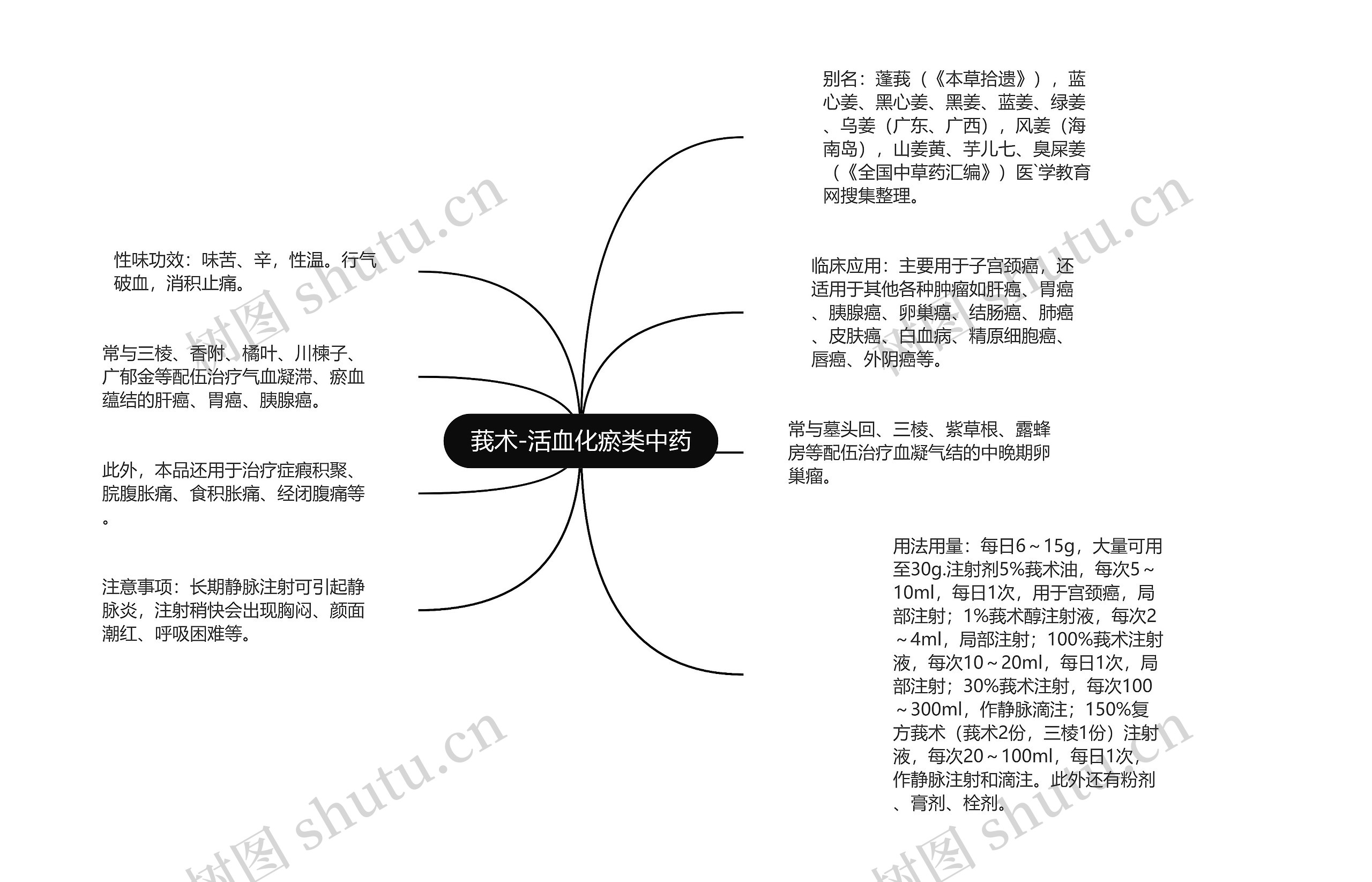 莪术-活血化瘀类中药思维导图