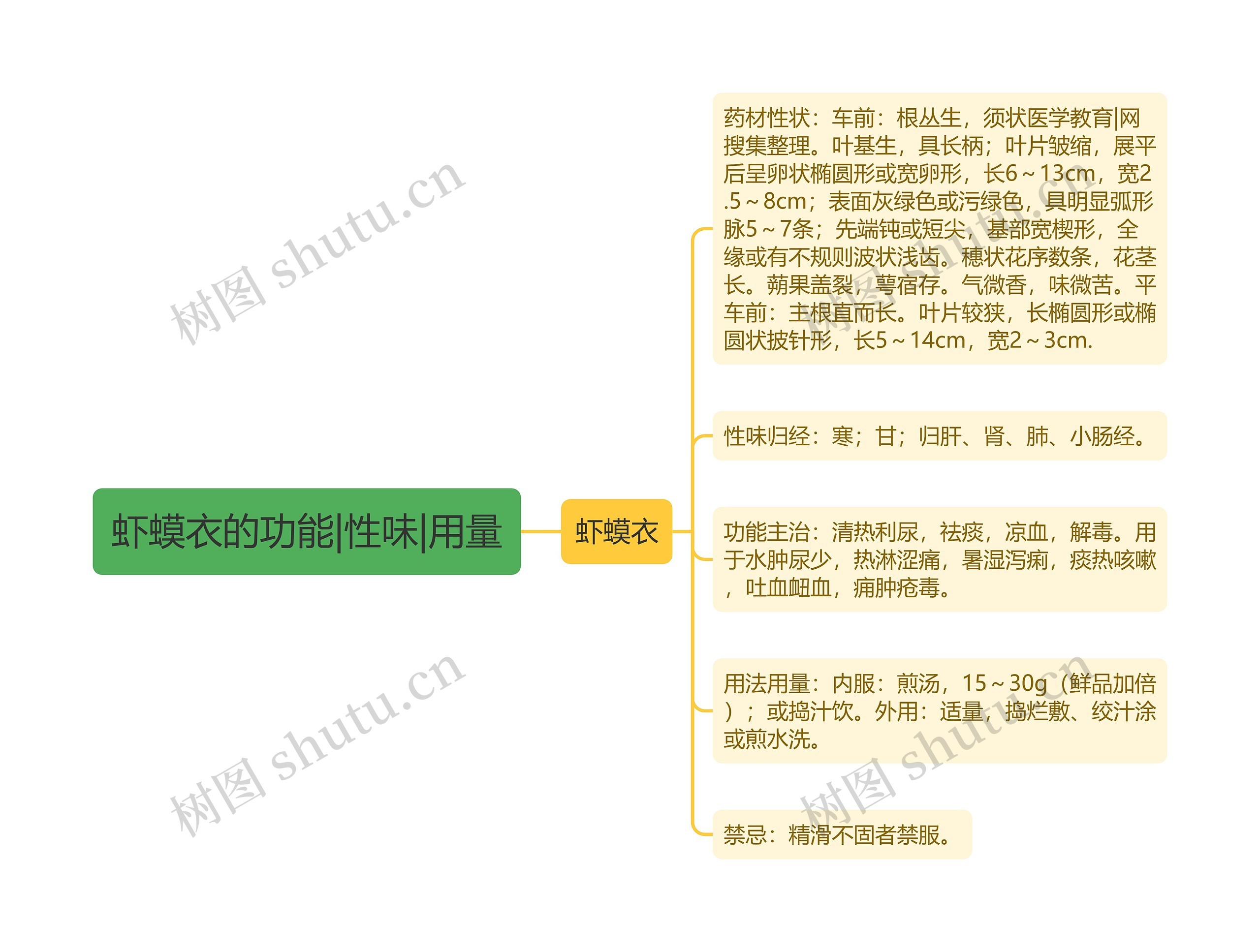 虾蟆衣的功能|性味|用量思维导图