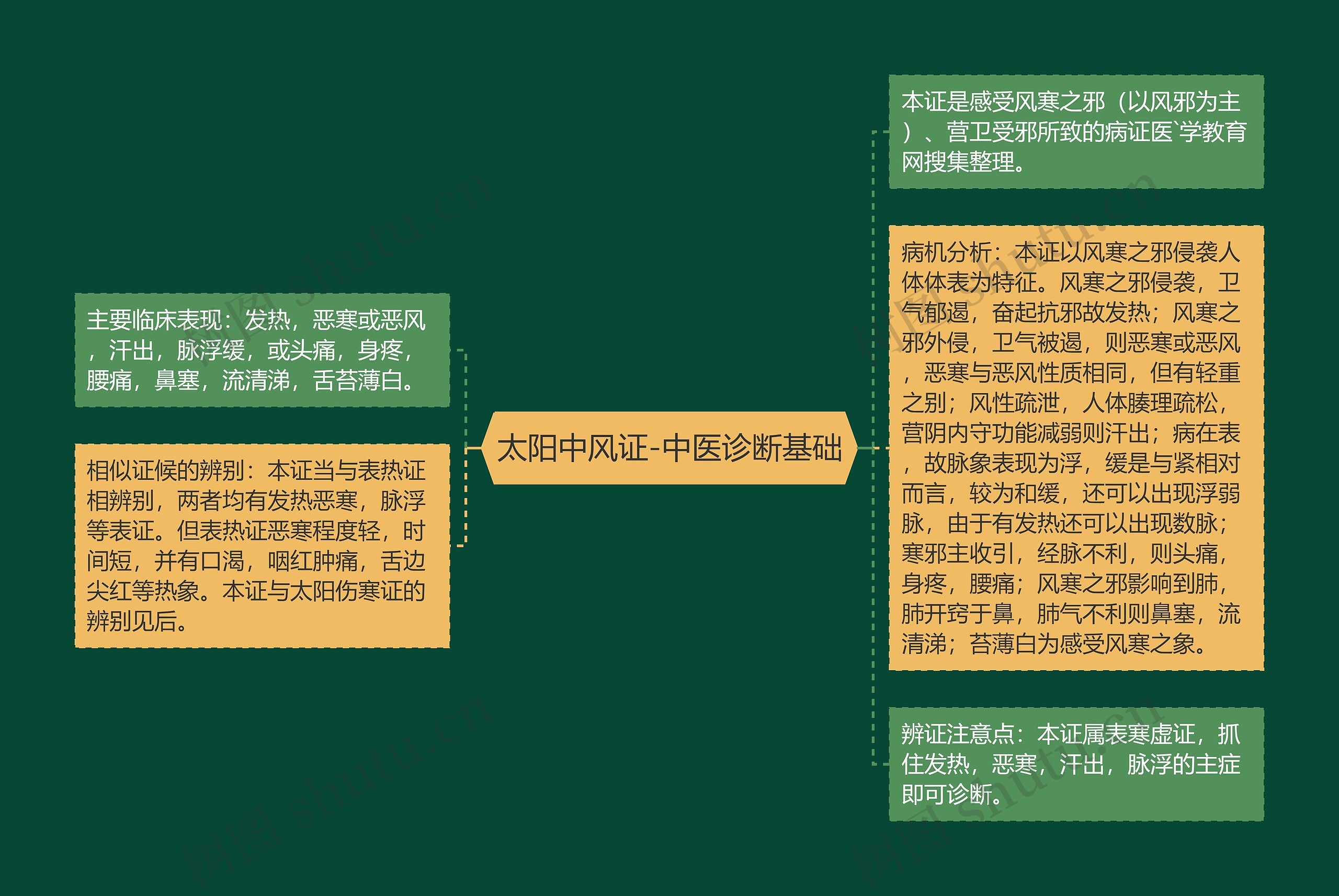 太阳中风证-中医诊断基础思维导图