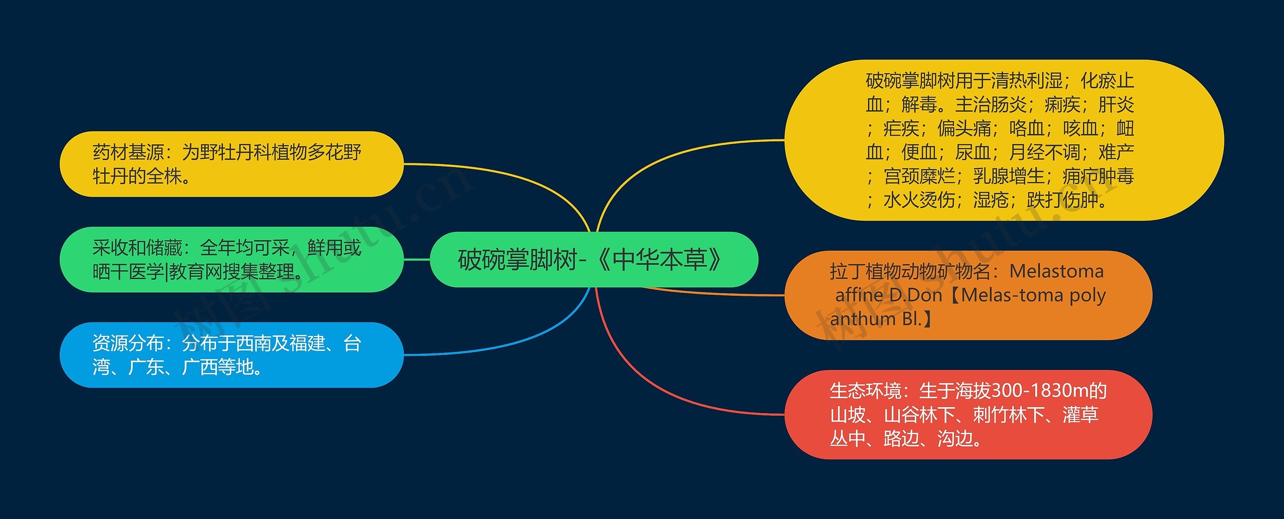 破碗掌脚树-《中华本草》思维导图