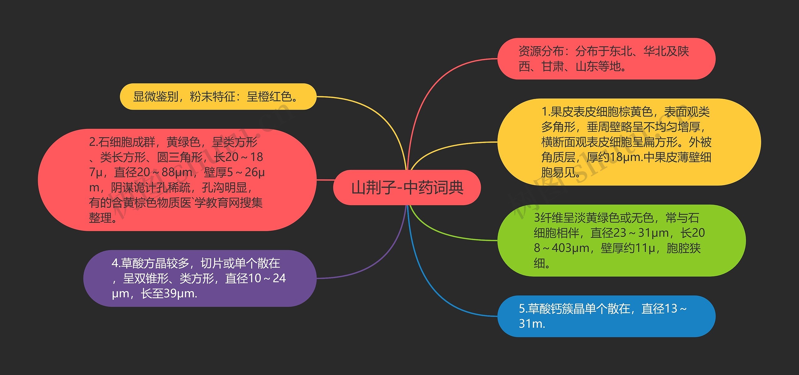 山荆子-中药词典 山荆子-中药词典