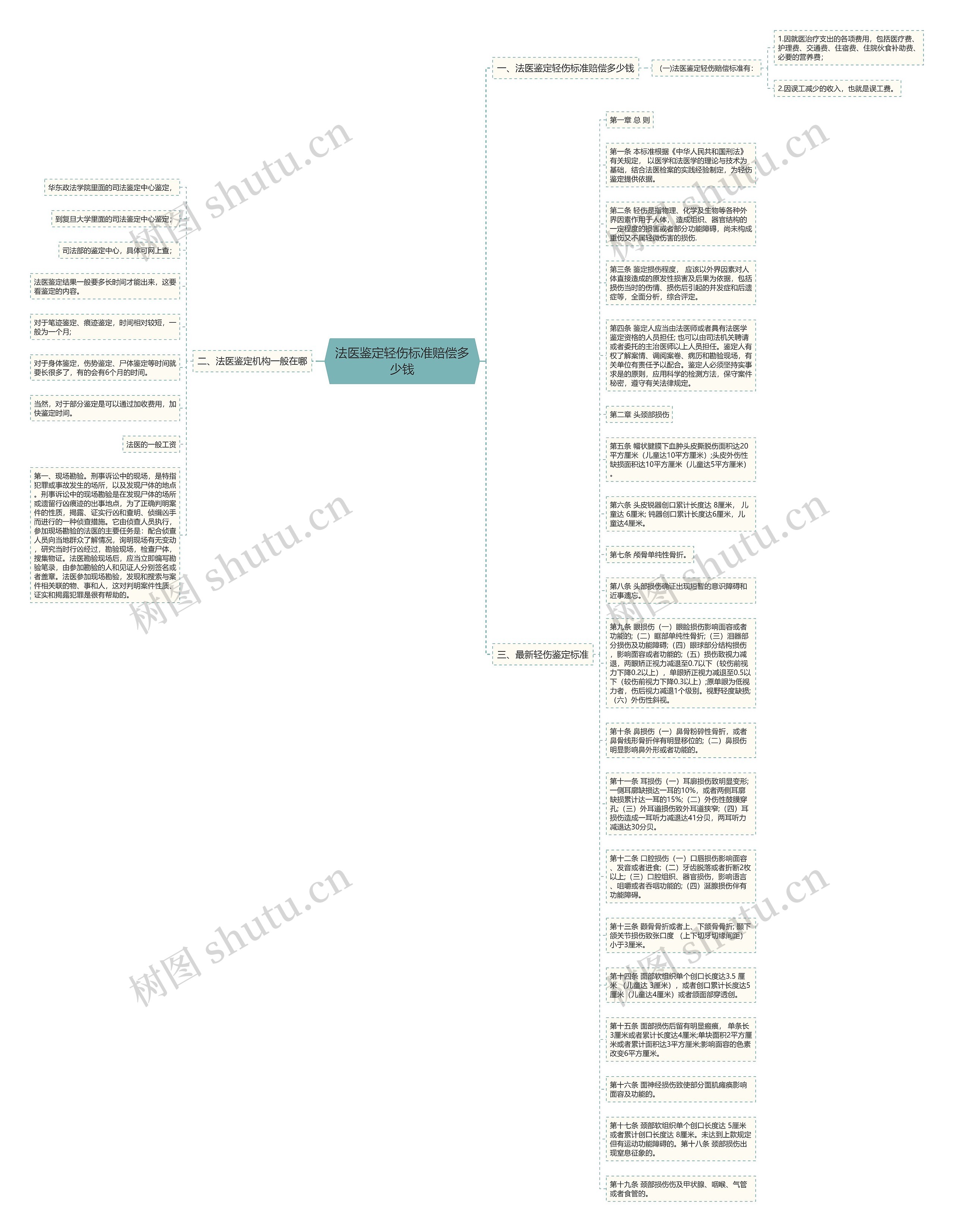 法医鉴定轻伤标准赔偿多少钱思维导图