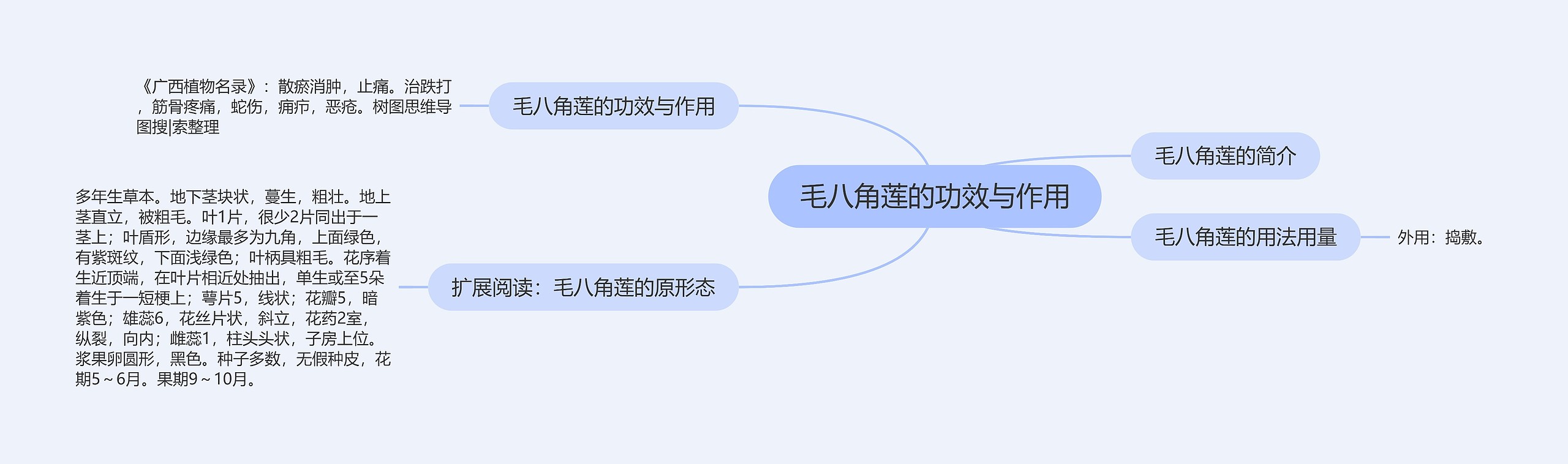 毛八角莲的功效与作用思维导图