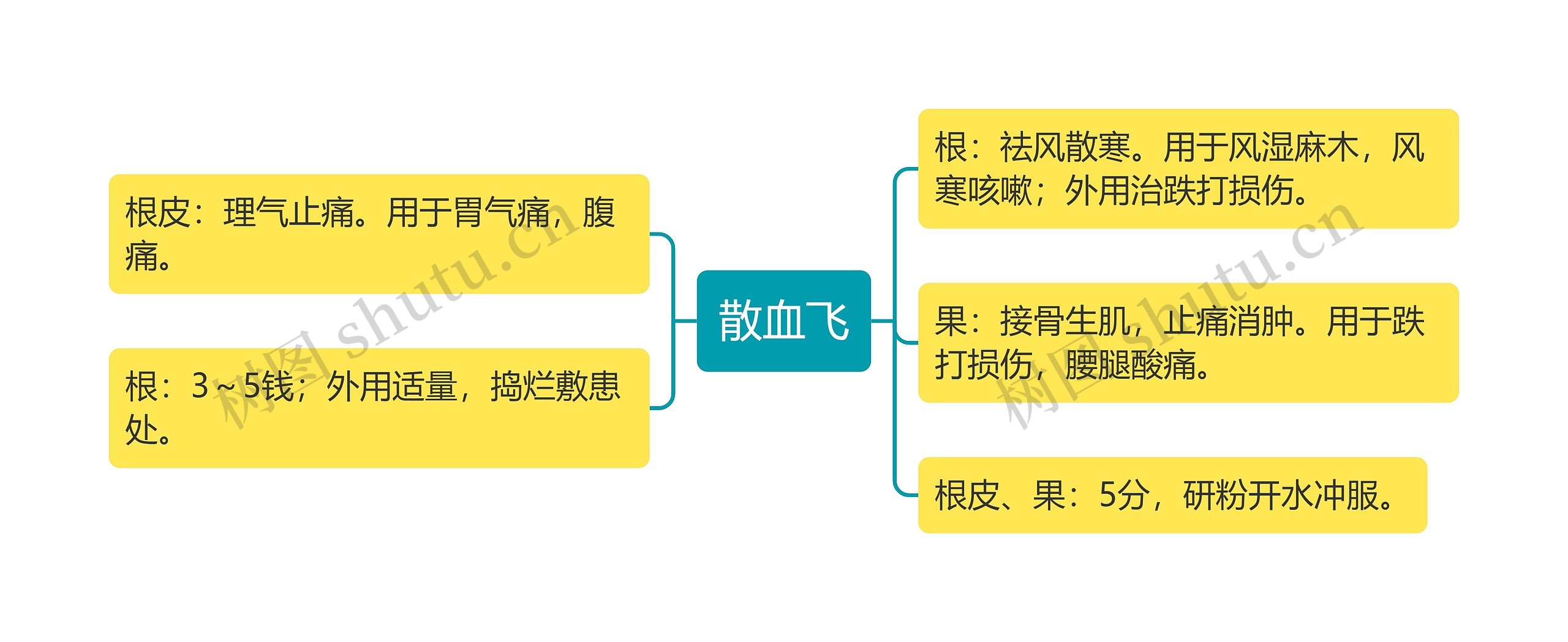 散血飞思维导图