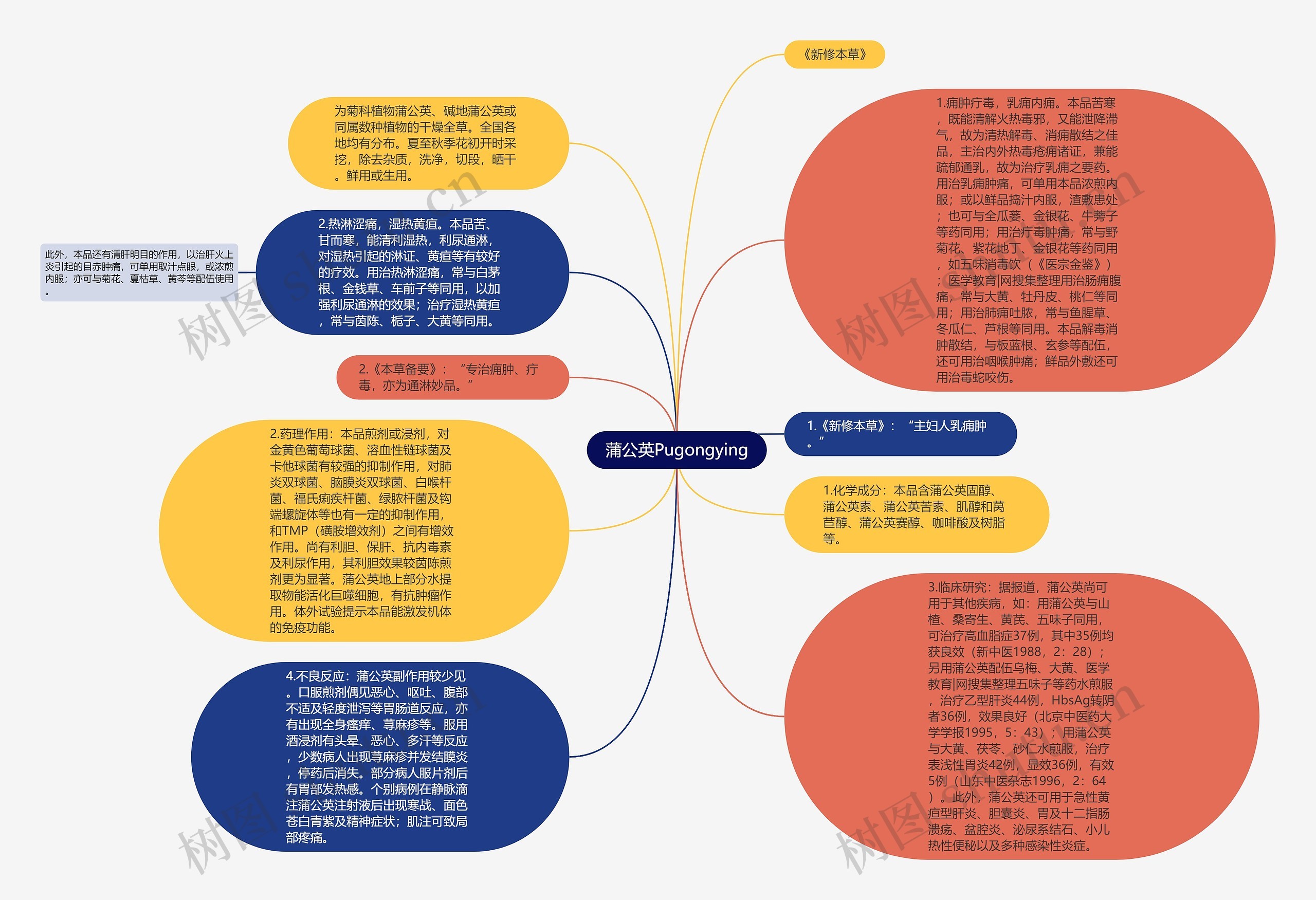 蒲公英Pugongying思维导图