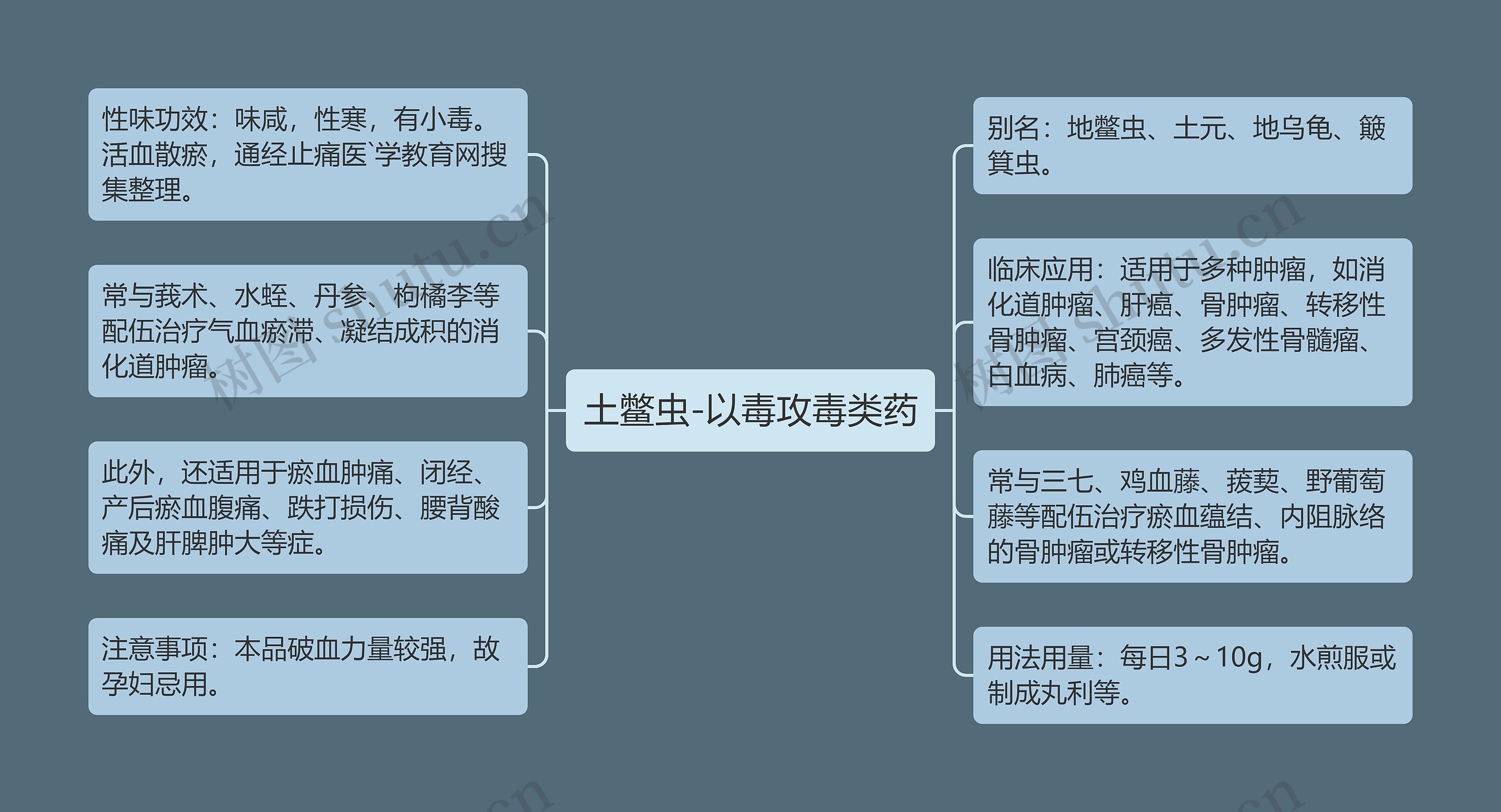 土鳖虫-以毒攻毒类药