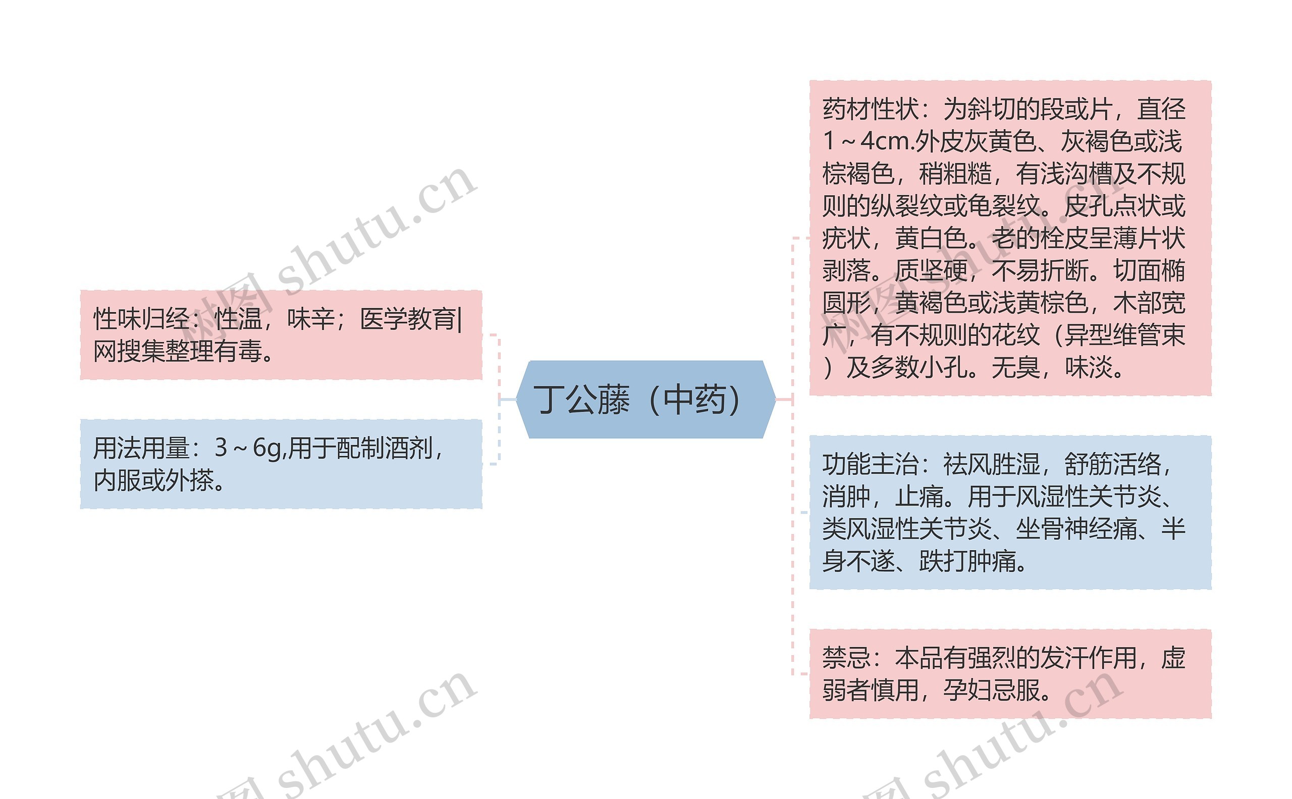 丁公藤（中药）思维导图