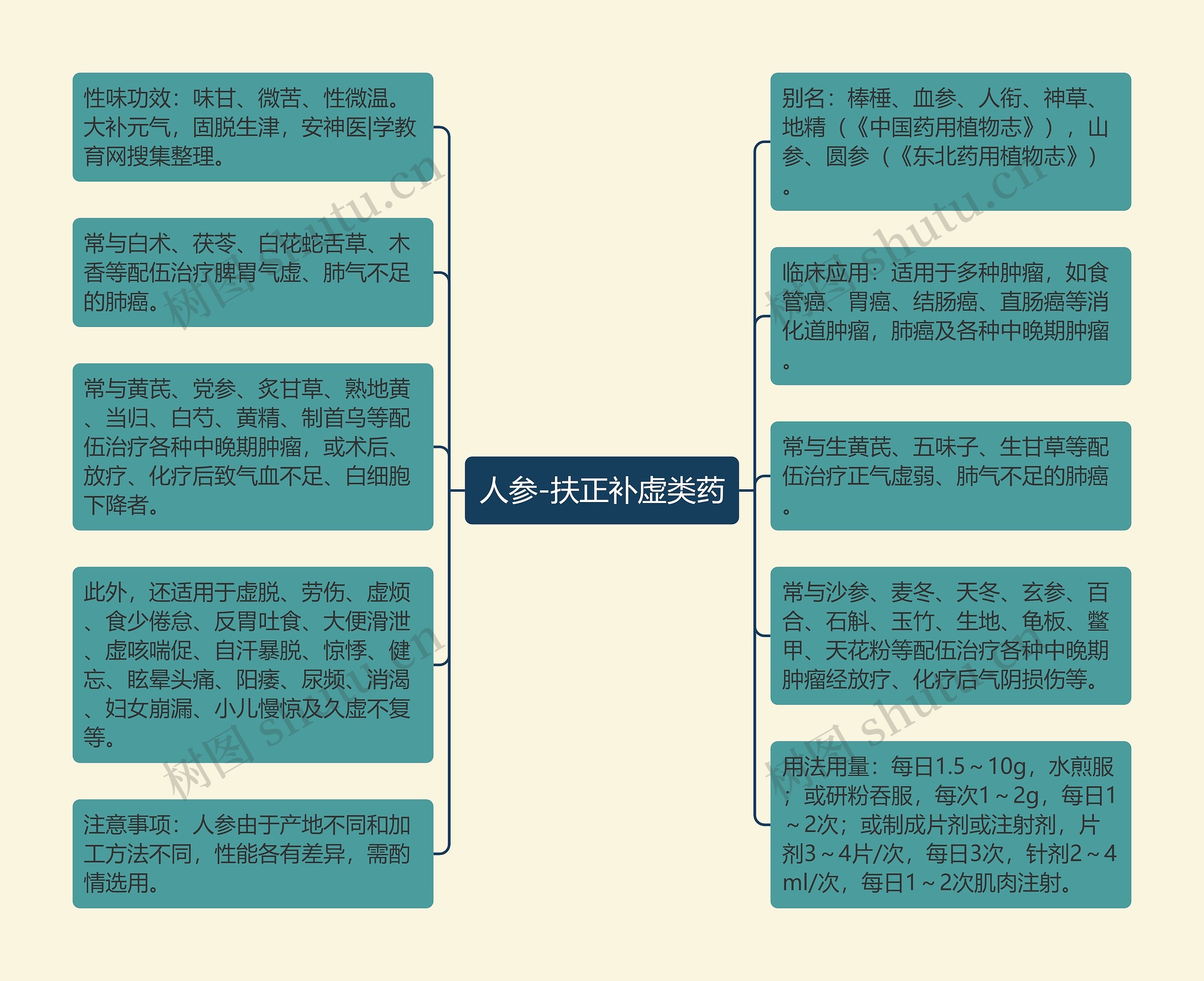 人参-扶正补虚类药思维导图