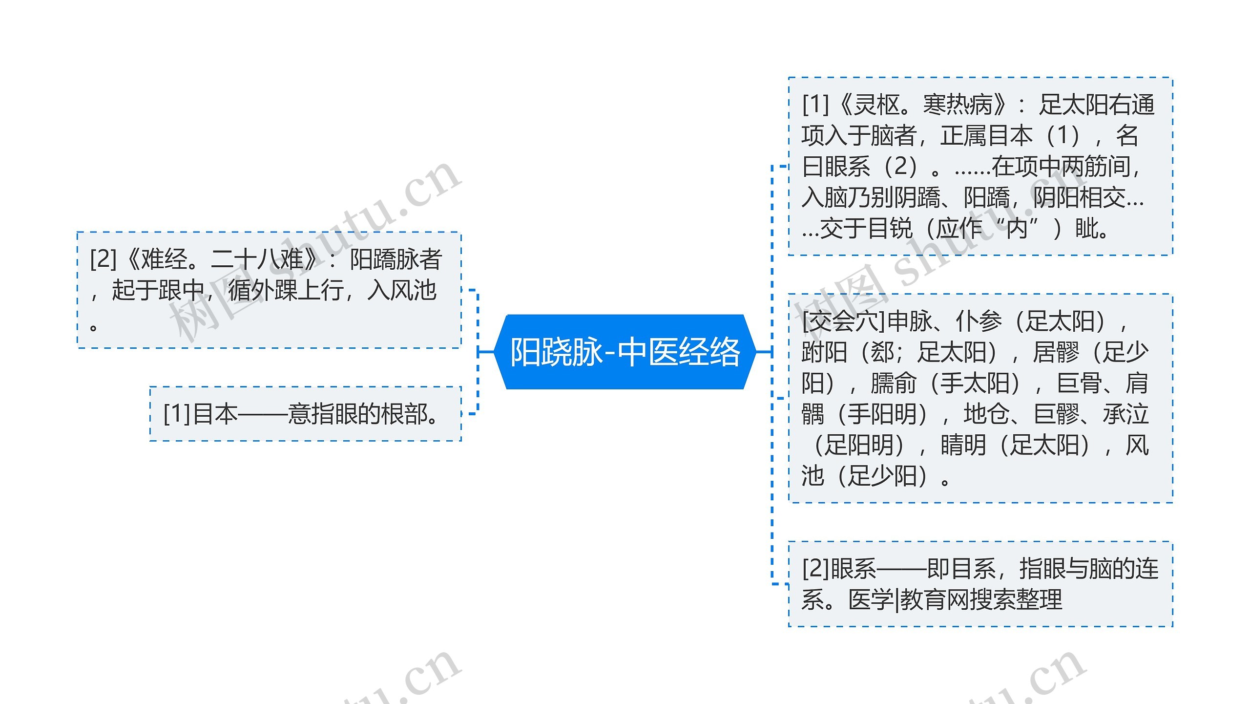 阳跷脉-中医经络