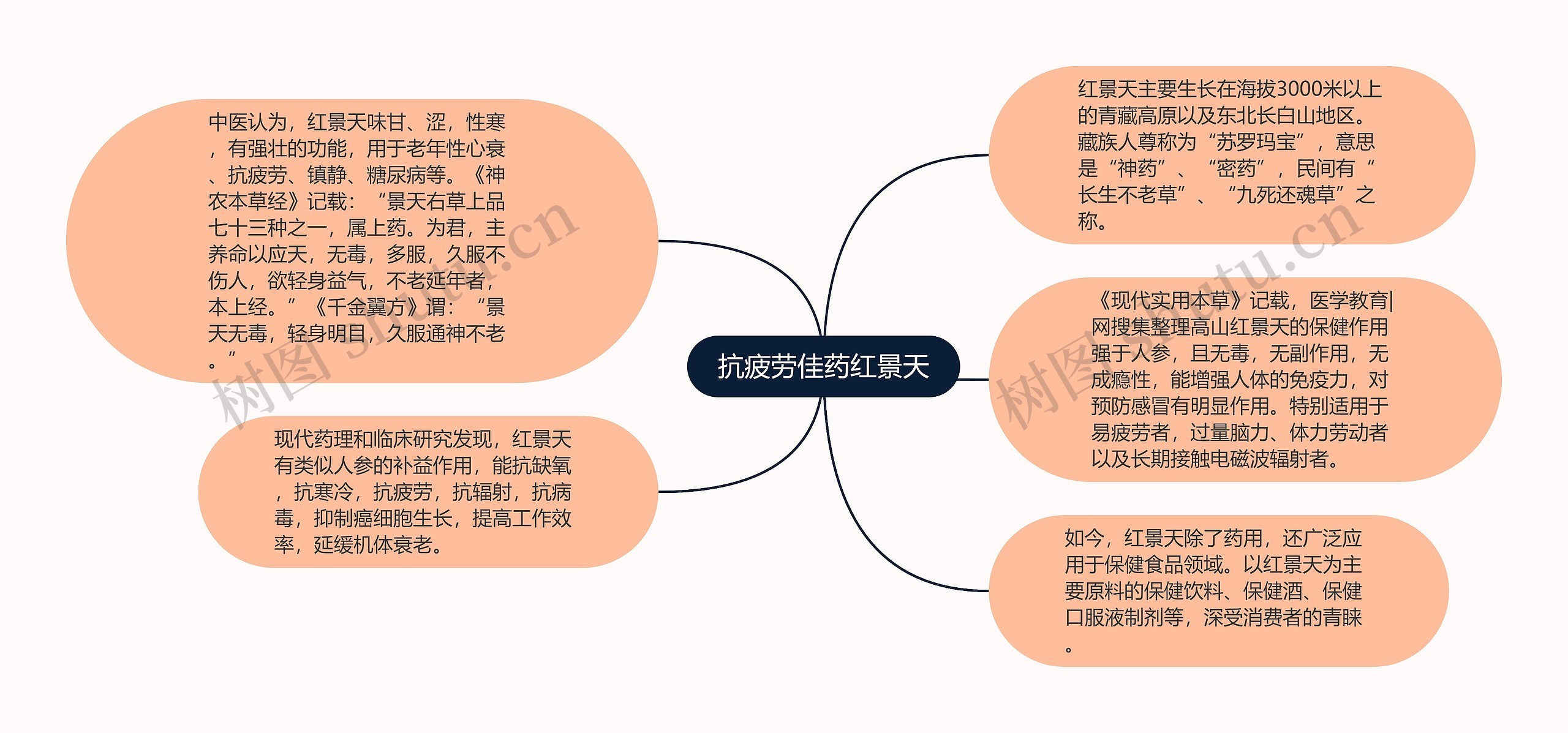 抗疲劳佳药红景天思维导图