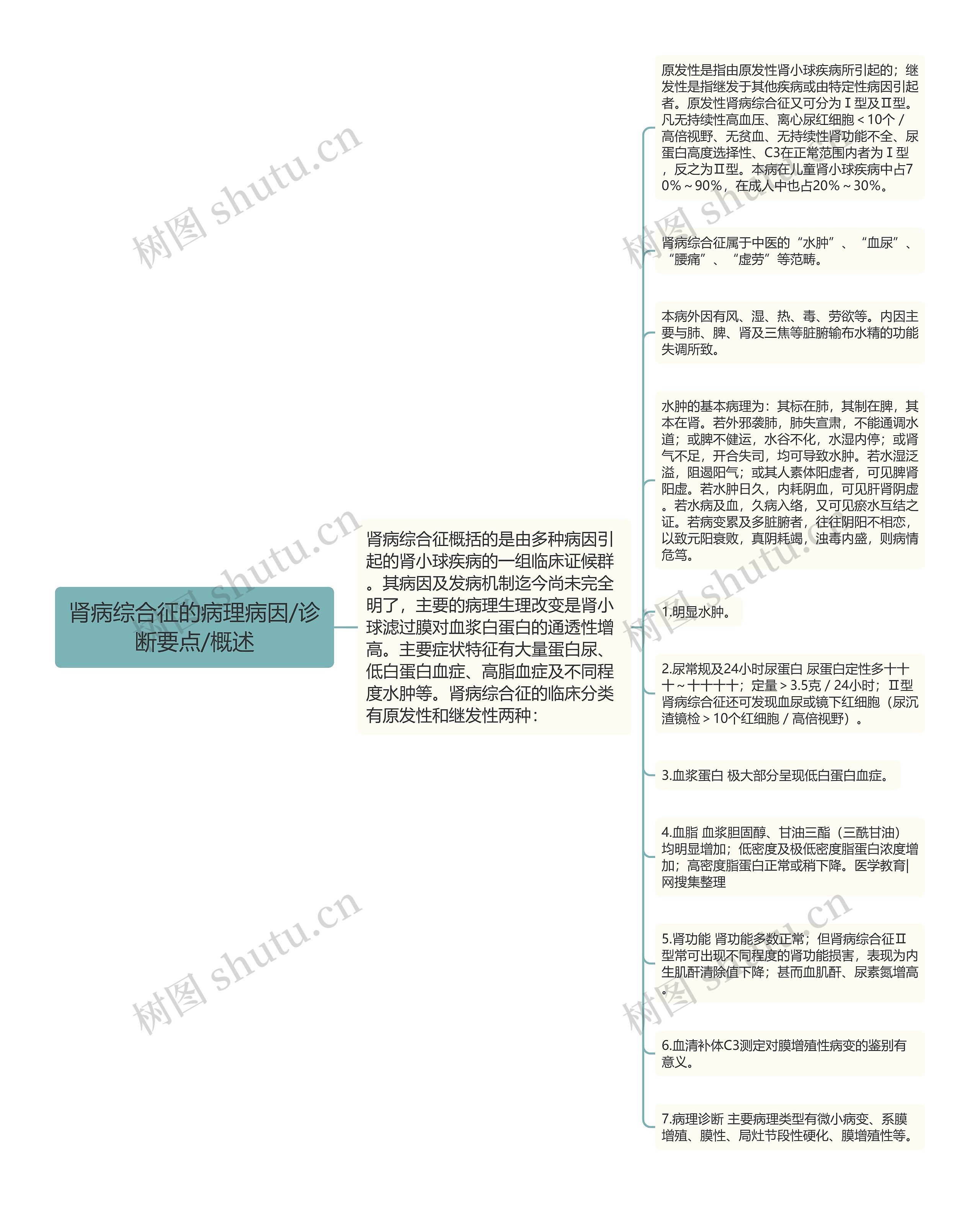 肾病综合征的病理病因/诊断要点/概述