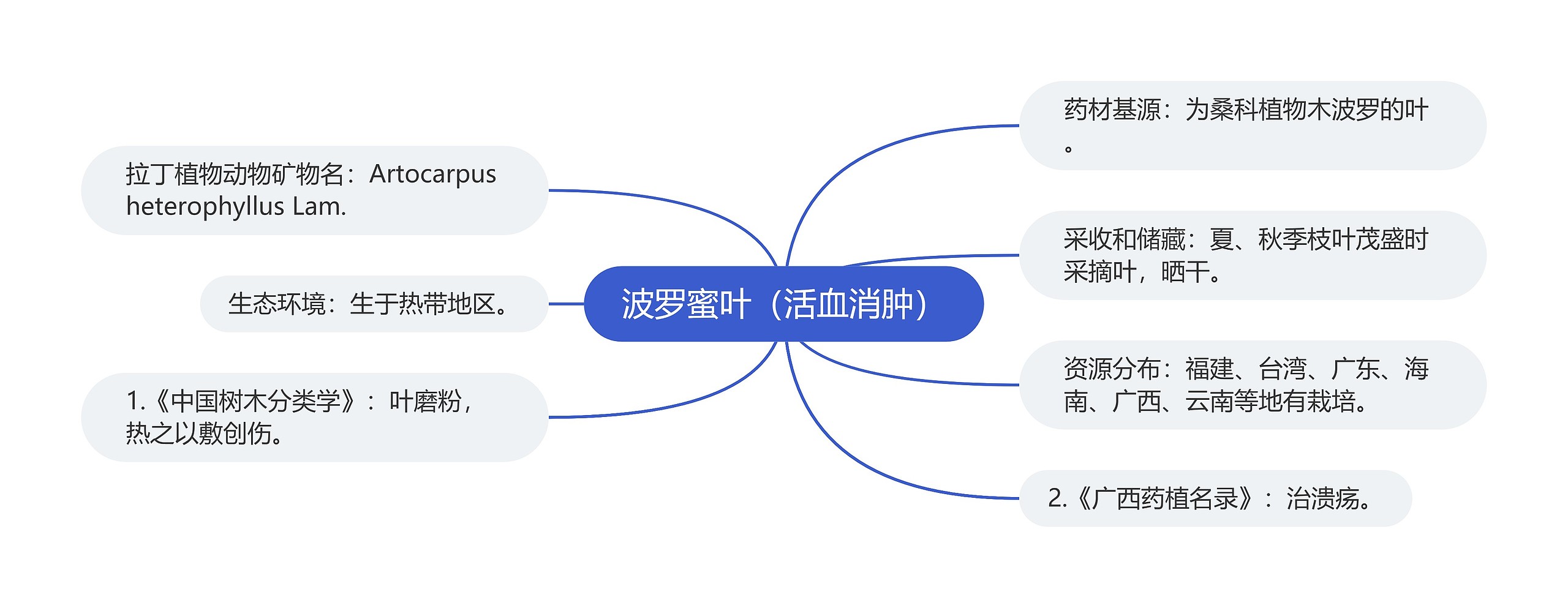 波罗蜜叶（活血消肿）思维导图