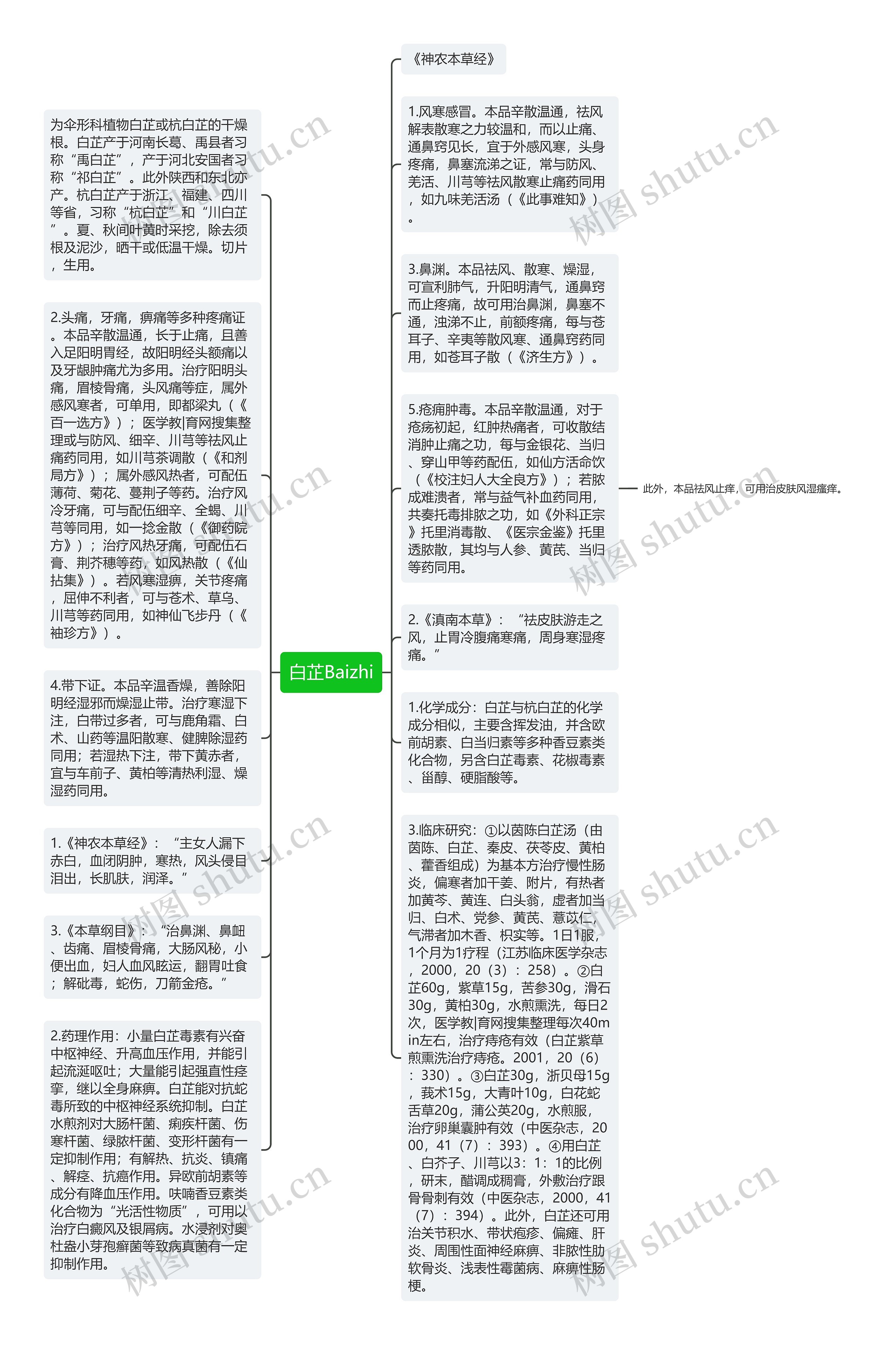 白芷Baizhi思维导图