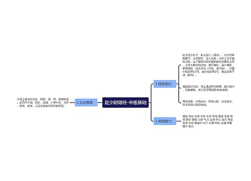 足少阴肾经-中医基础
