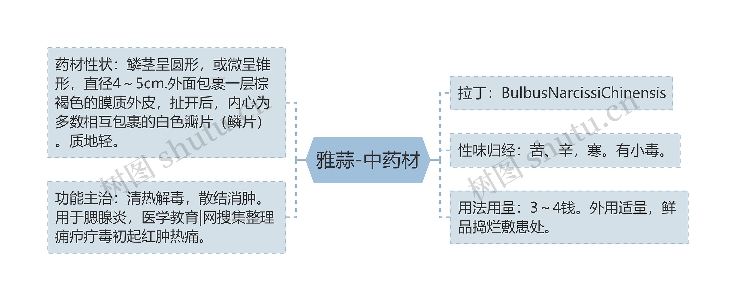 雅蒜-中药材思维导图