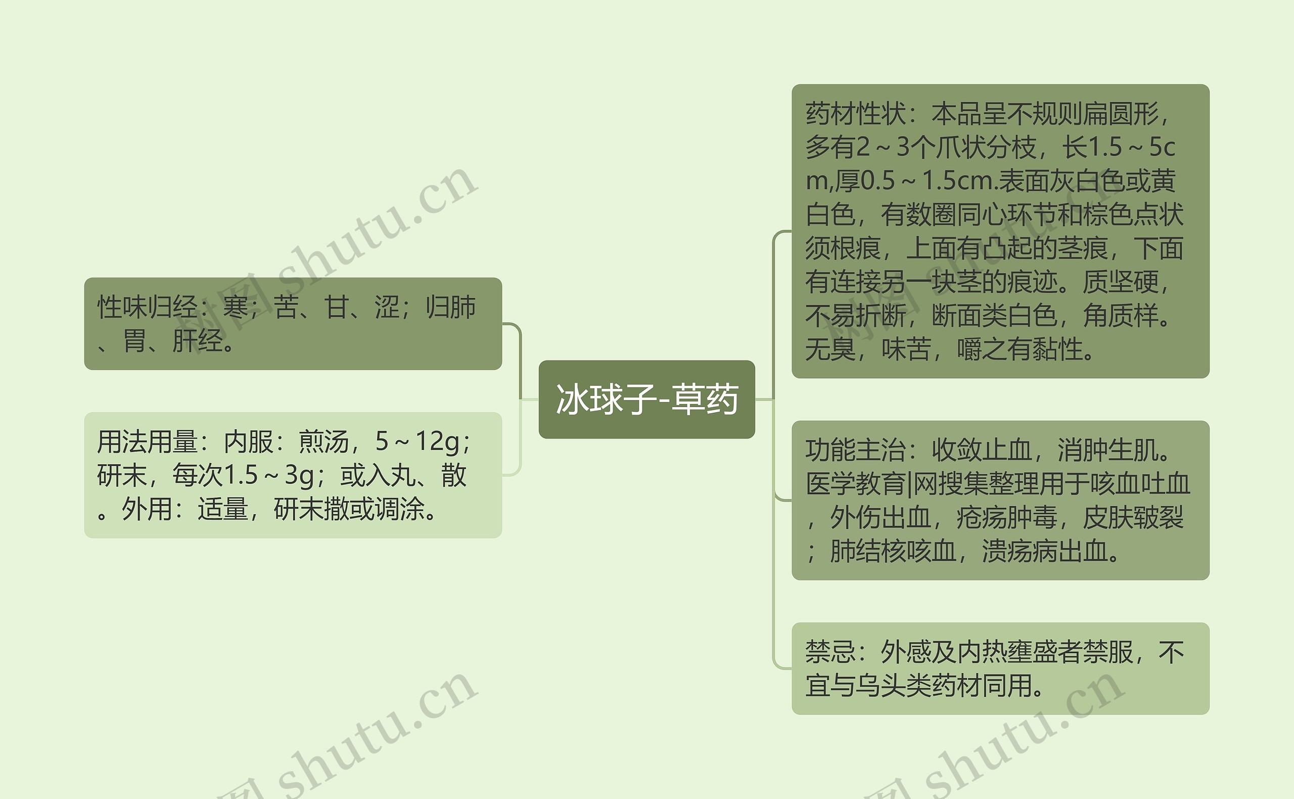 冰球子-草药思维导图