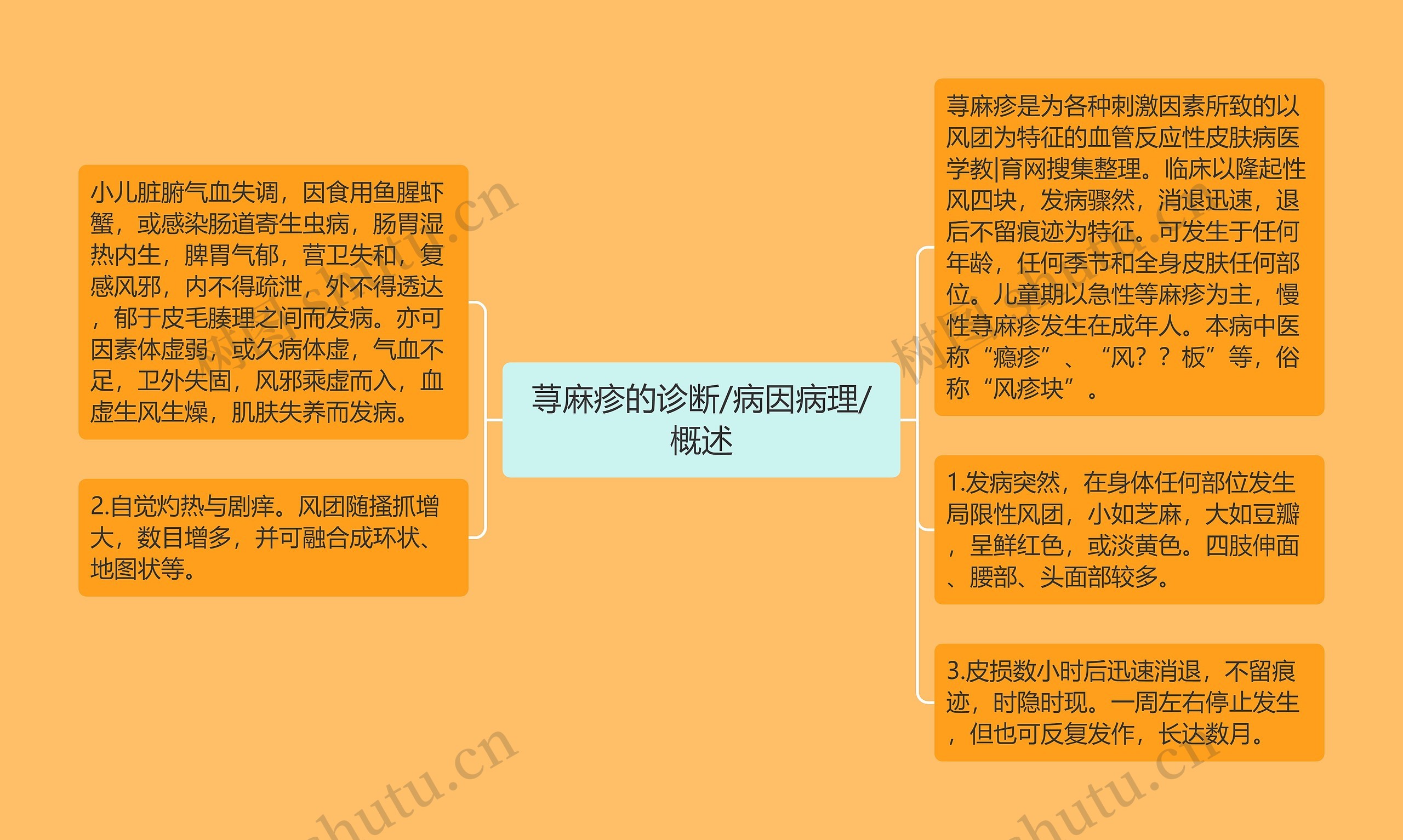 荨麻疹的诊断/病因病理/概述思维导图