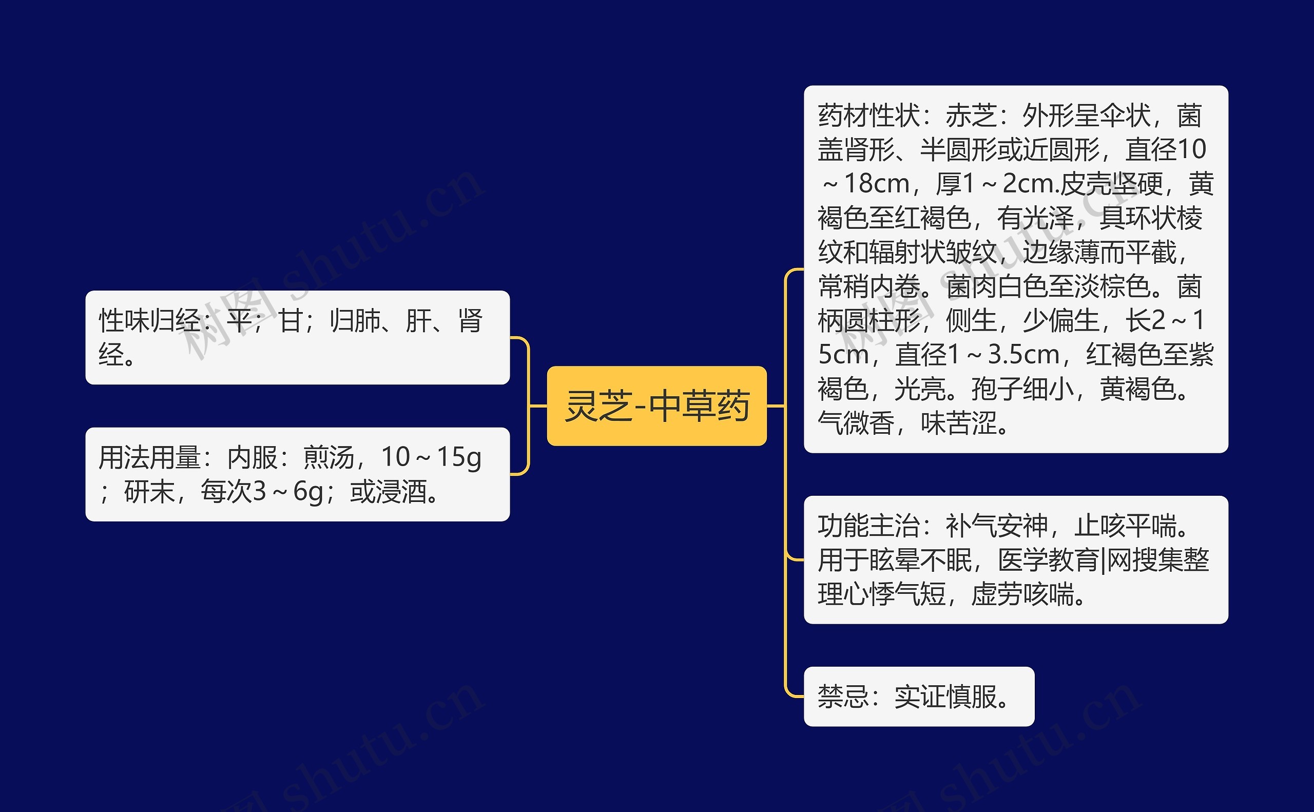 灵芝-中草药思维导图