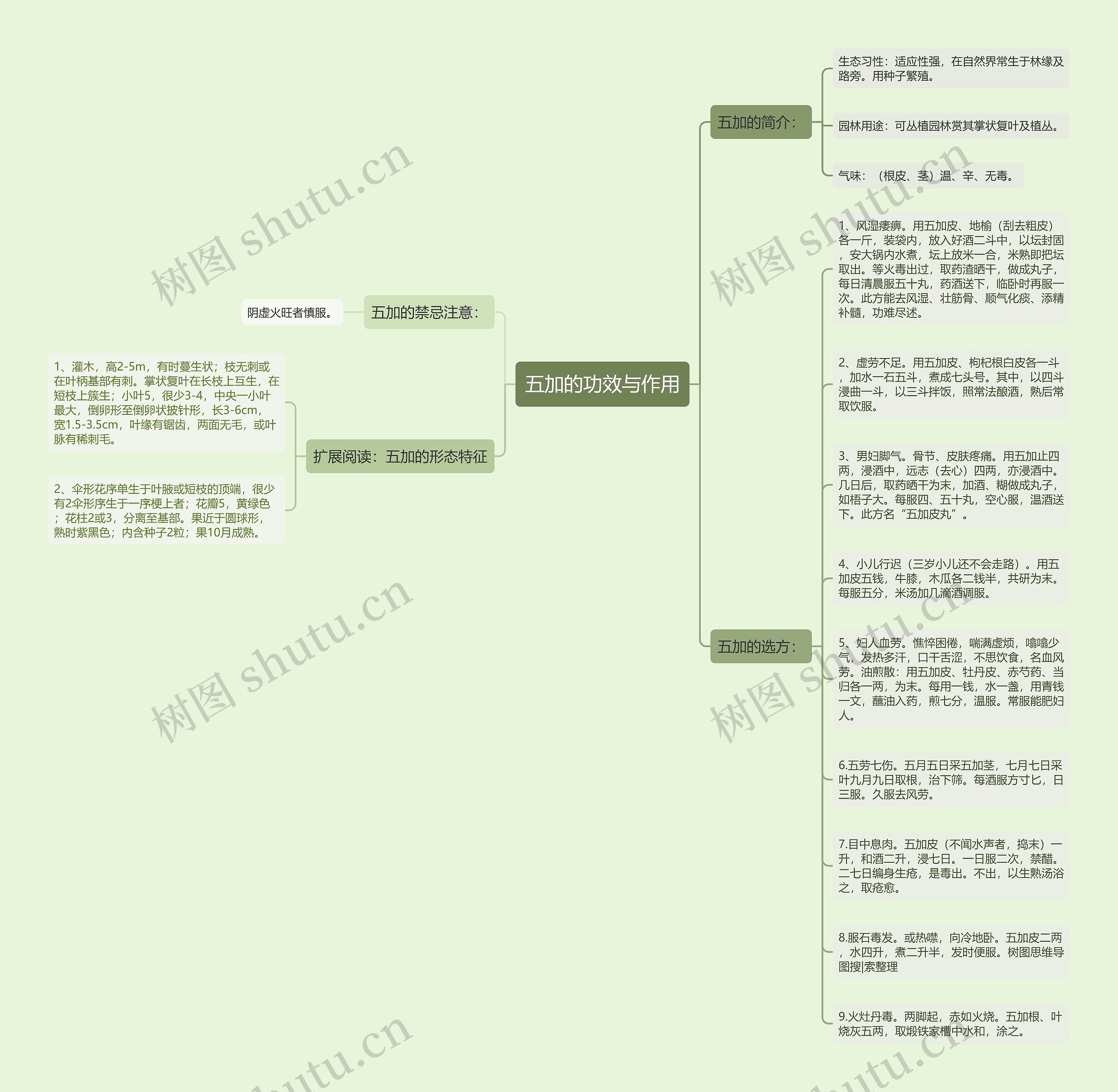 五加的功效与作用思维导图