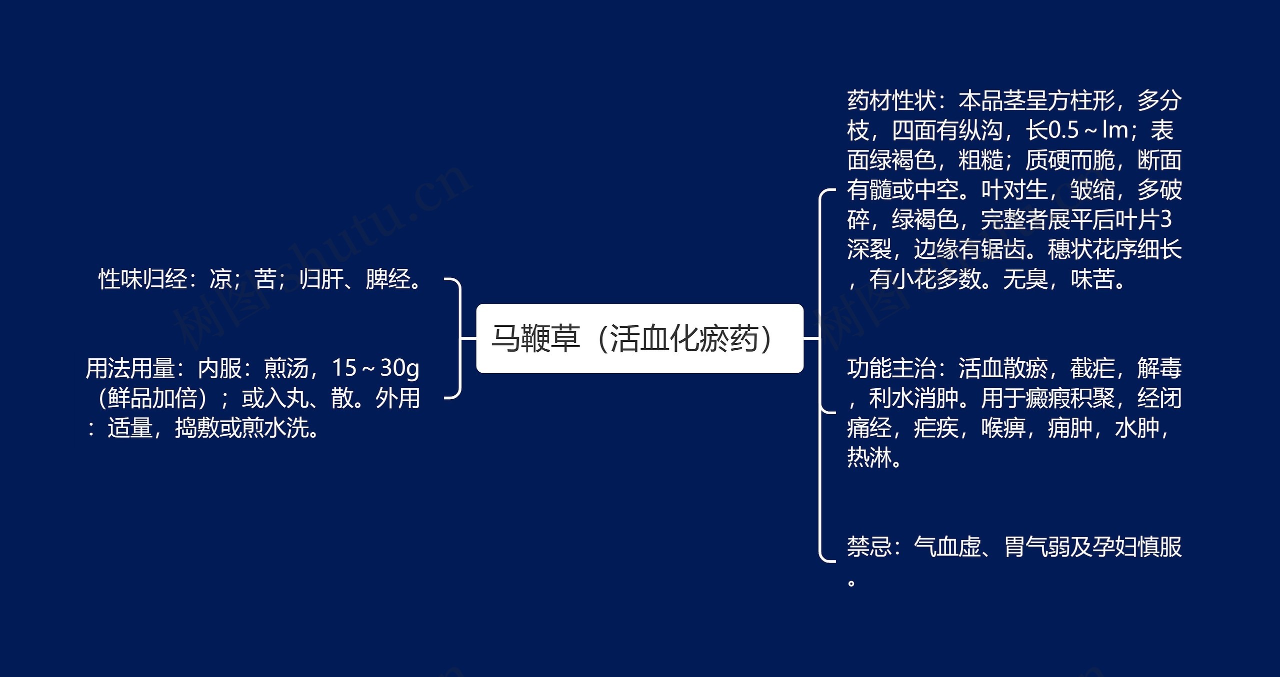 马鞭草（活血化瘀药）思维导图