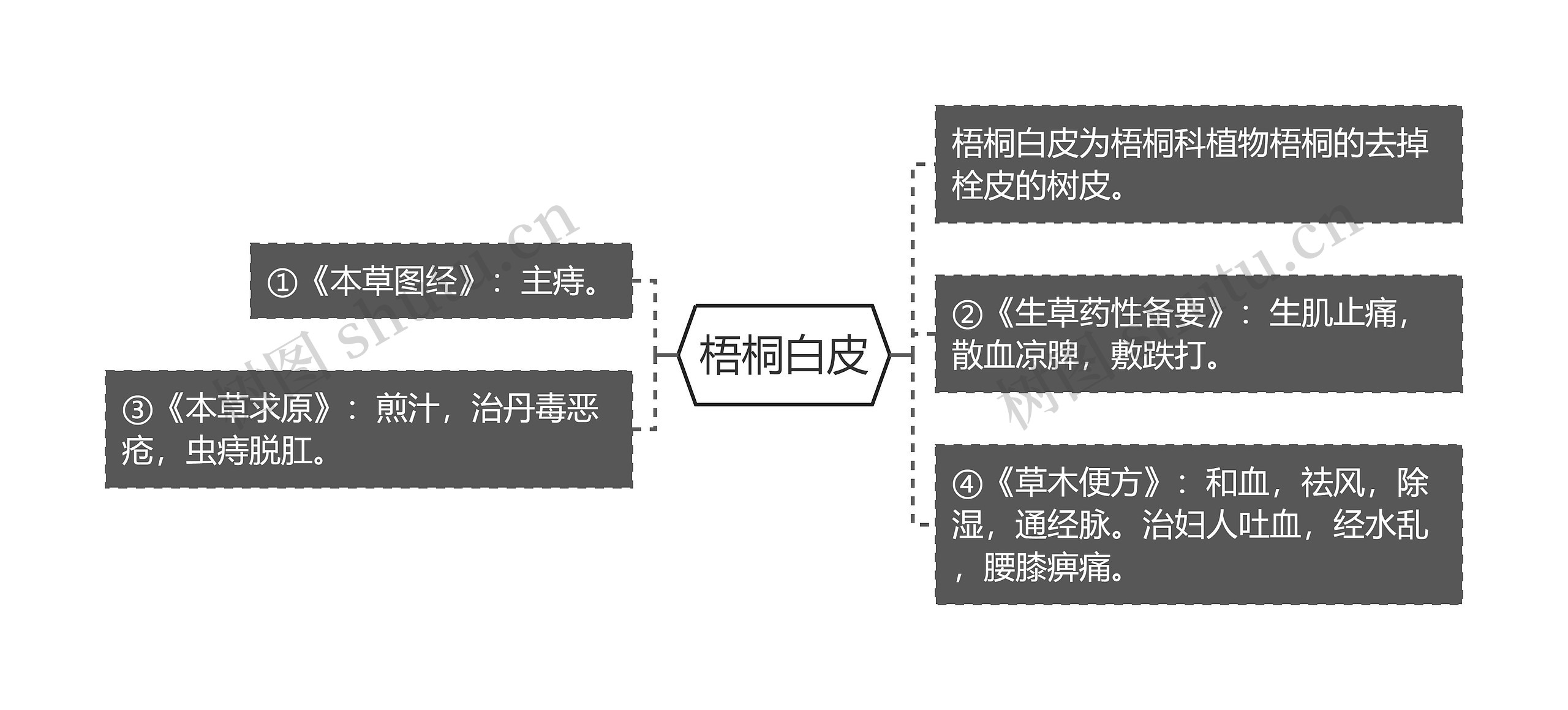 梧桐白皮