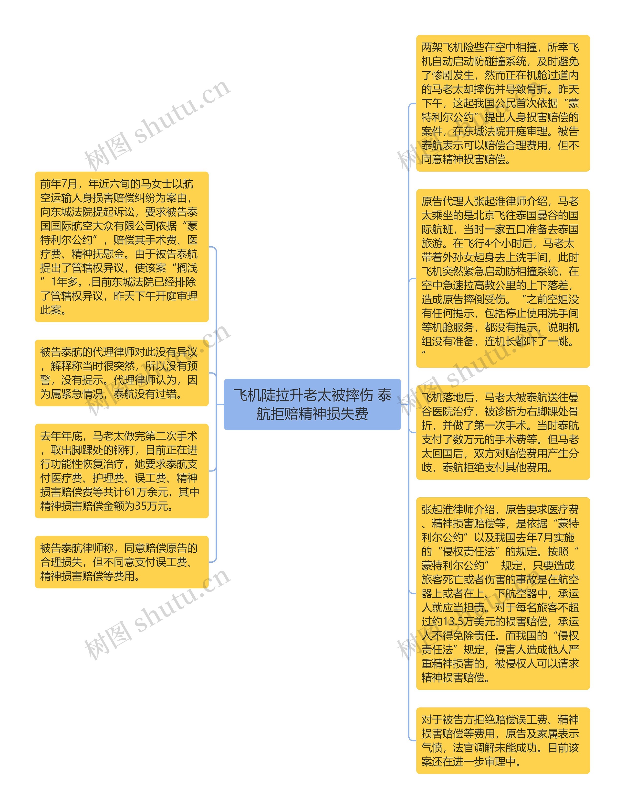 飞机陡拉升老太被摔伤 泰航拒赔精神损失费思维导图