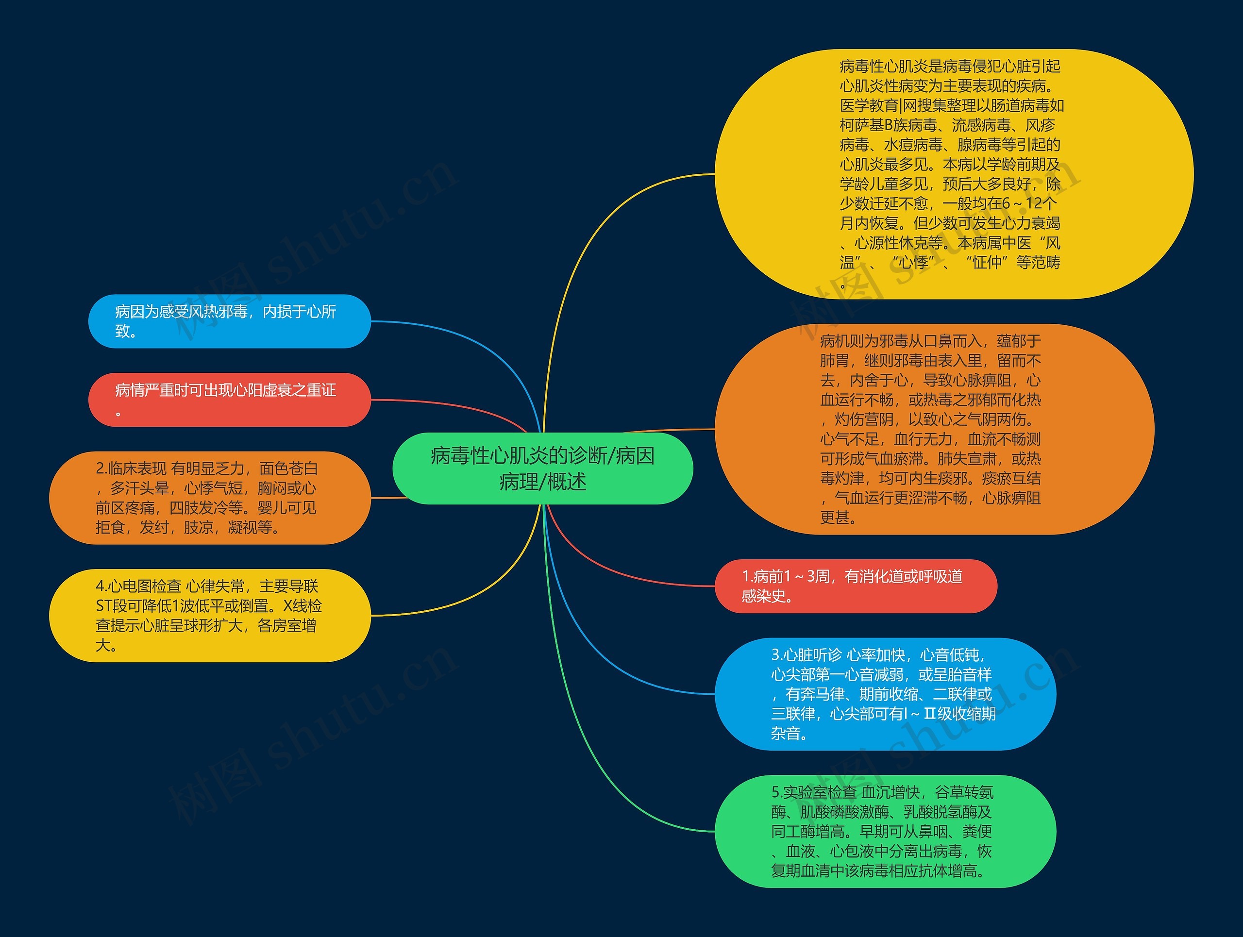 病毒性心肌炎的诊断/病因病理/概述思维导图