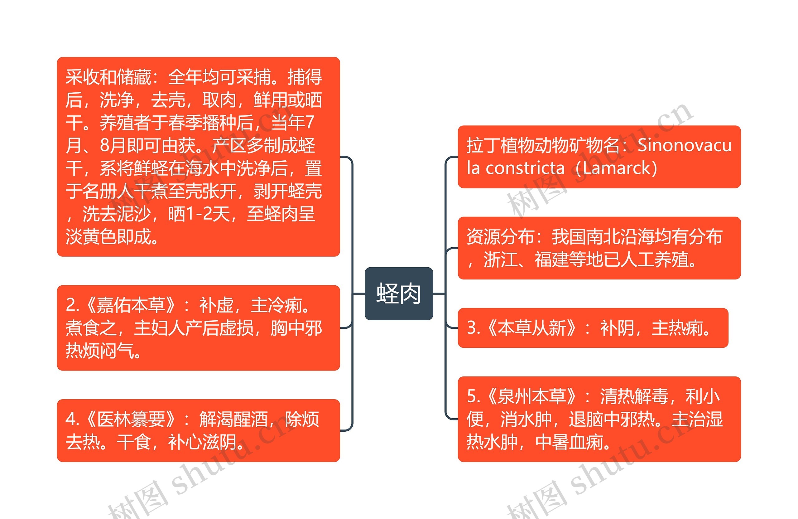 蛏肉思维导图