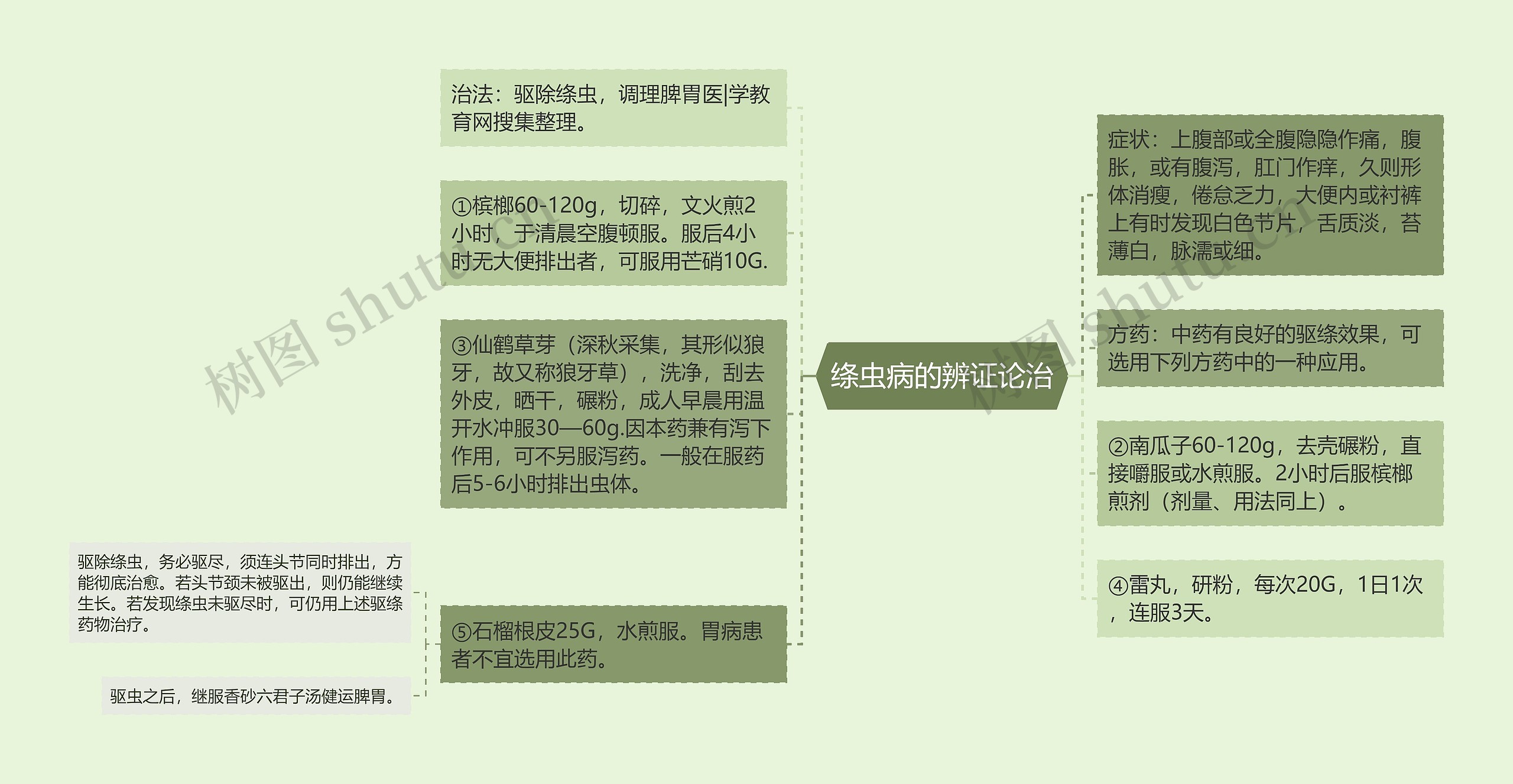 绦虫病的辨证论治思维导图